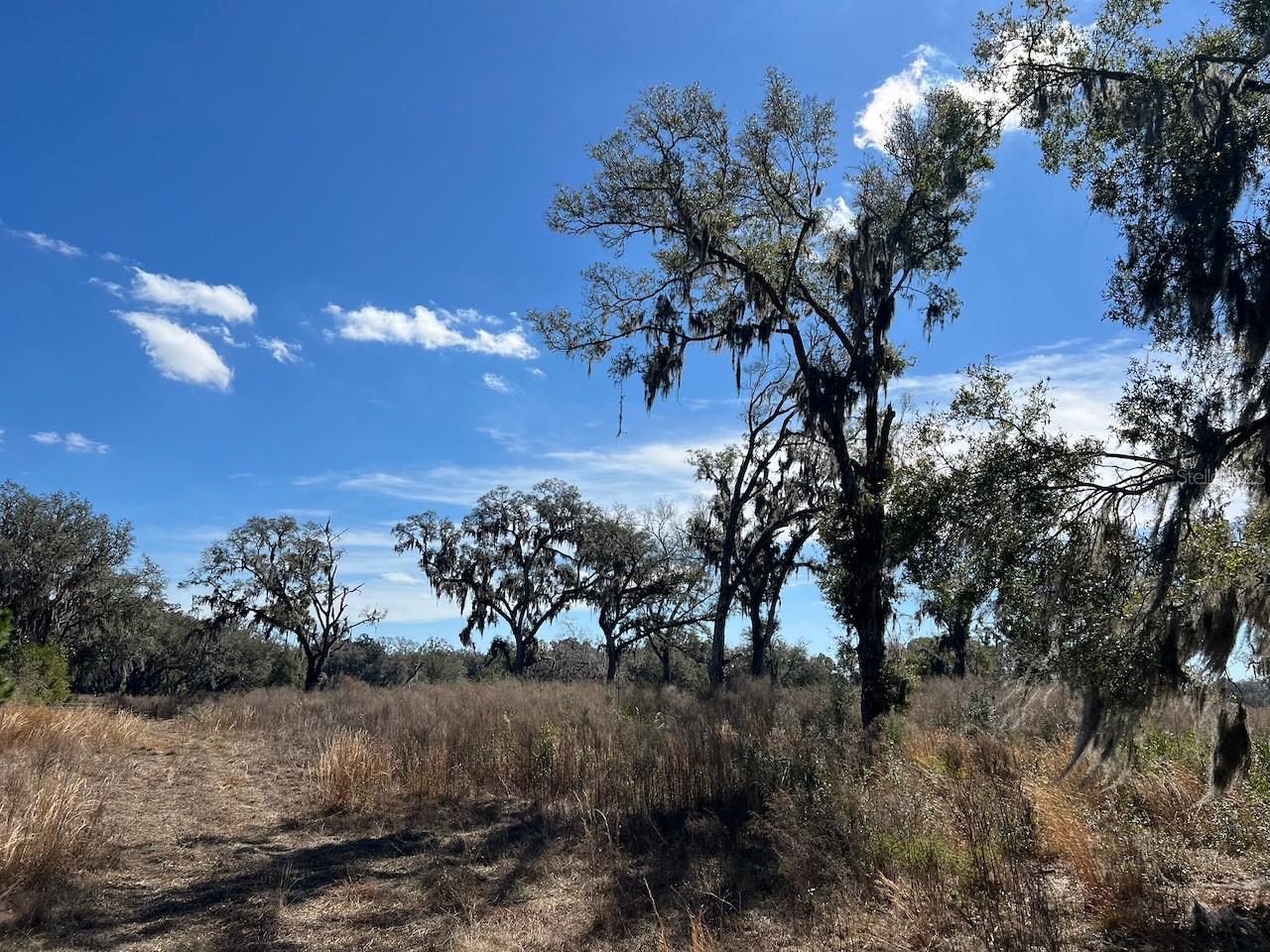 Image 6 of 17 For 2351 Highway 41