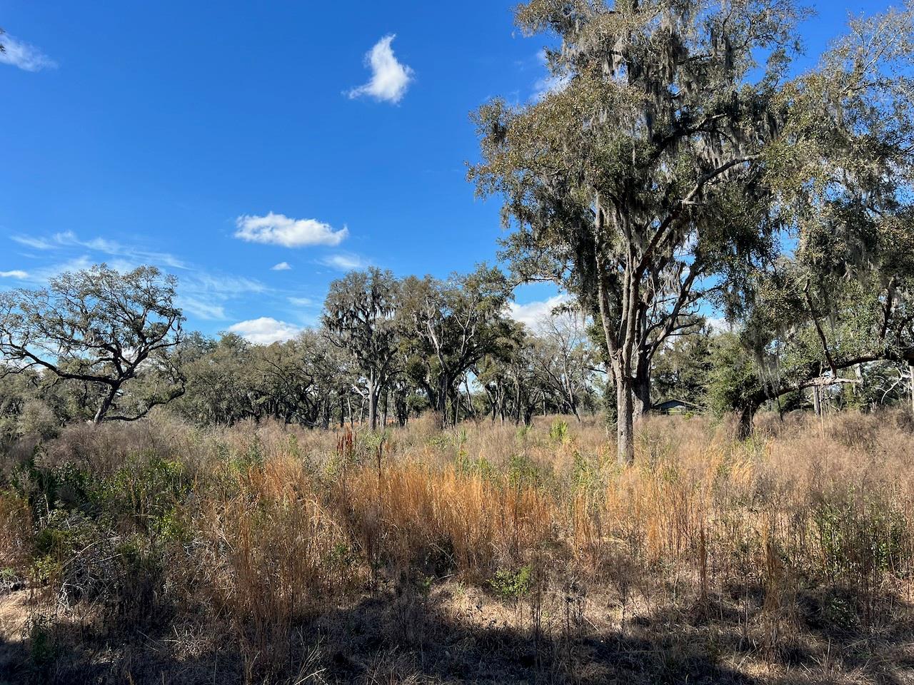 Image 7 of 17 For 2351 Highway 41