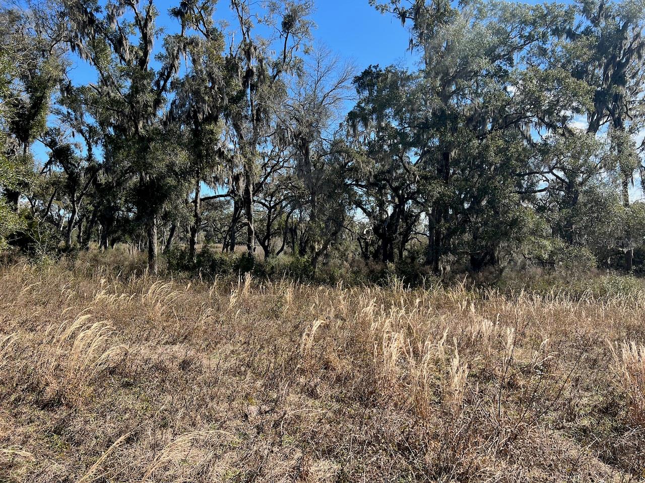 Image 9 of 17 For 2351 Highway 41