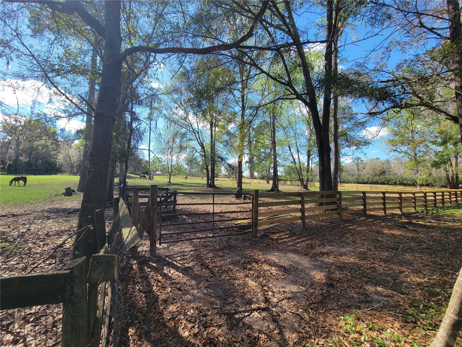 Image 30 of 39 For 1600 42nd Street