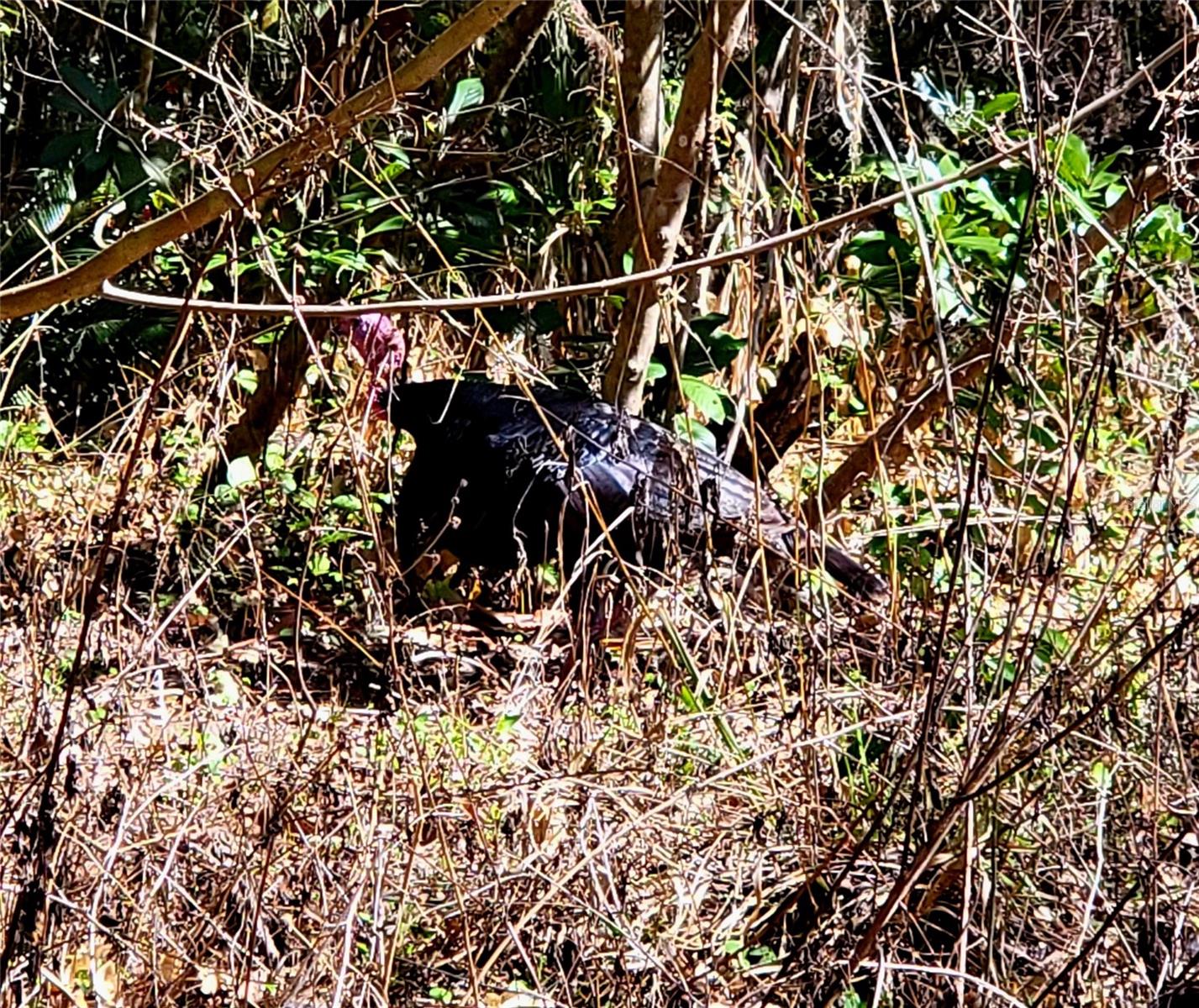 Image 34 of 39 For 1600 42nd Street