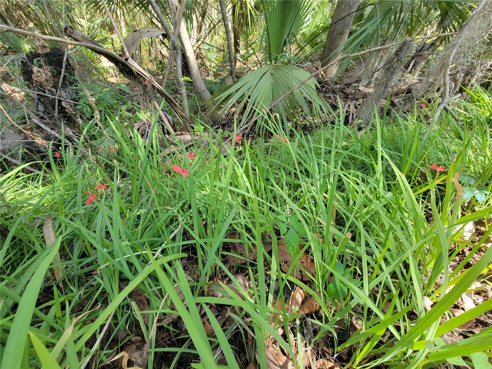 Image 35 of 39 For 1600 42nd Street