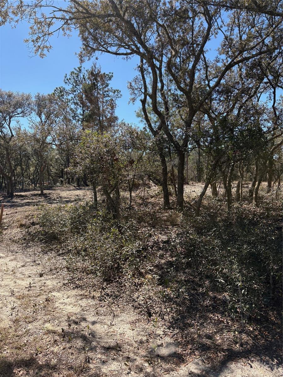 Image 2 of 2 For Tba 131st Terrace