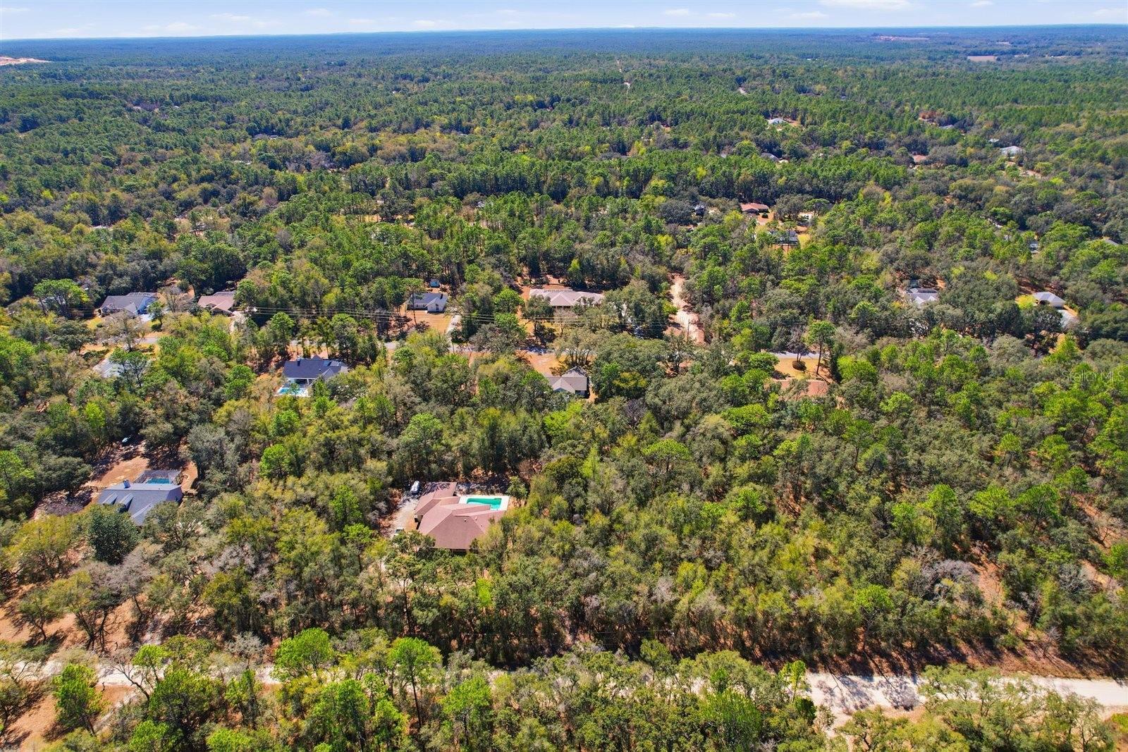 Image 44 of 45 For 1737 Olympia Street