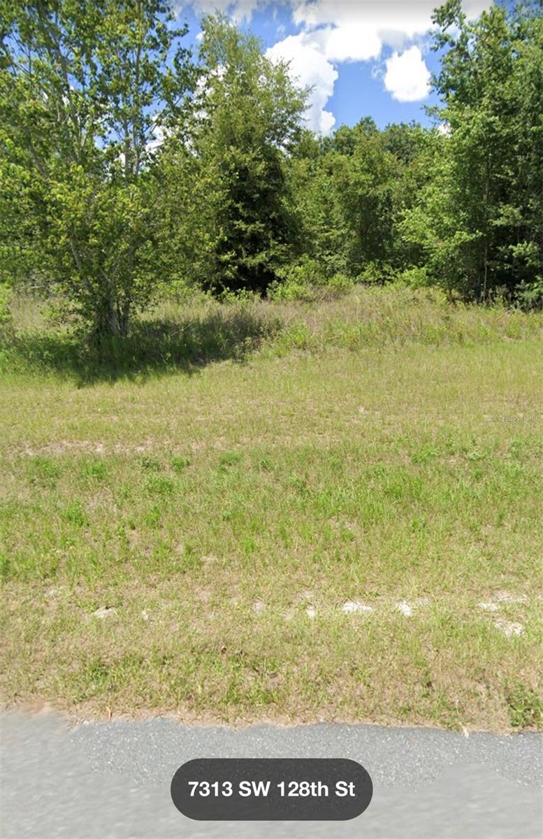 Details for  Sw 128 St  , OCALA, FL 34473