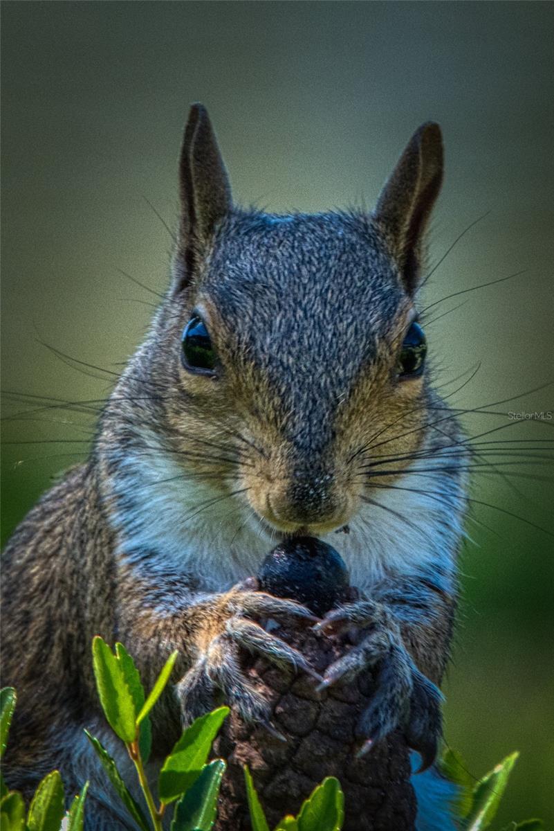 Image 31 of 47 For 615 Midway Drive B