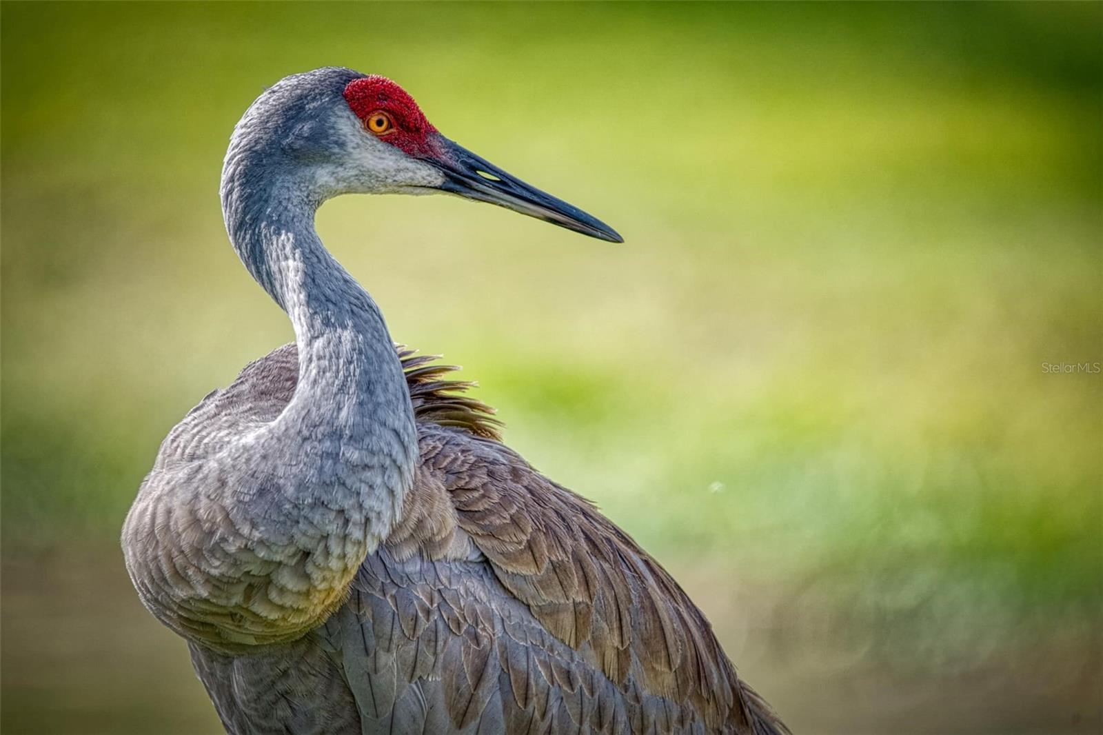 Image 35 of 47 For 615 Midway Drive B