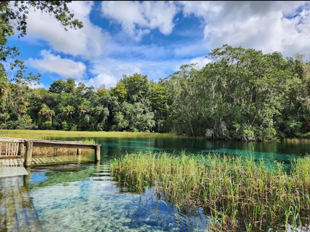 Image 54 of 56 For 8583 Tibet Terrace