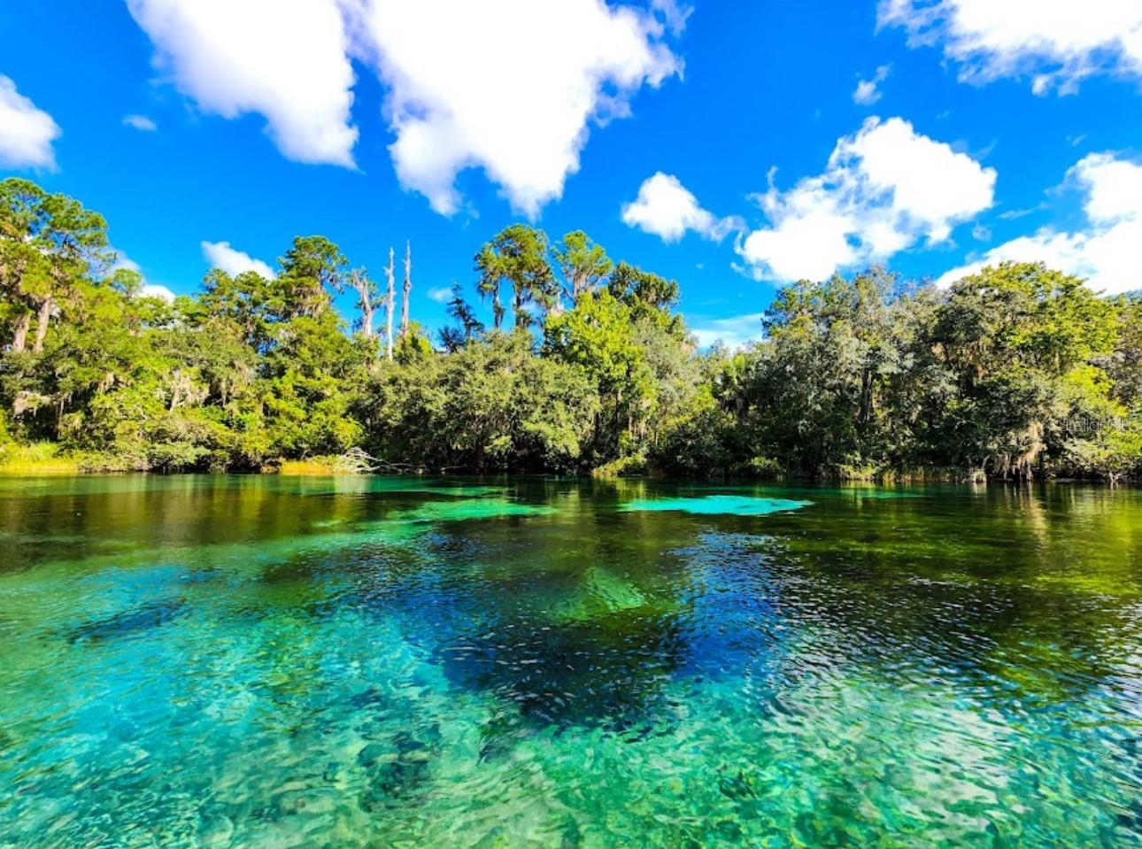 Image 55 of 56 For 8583 Tibet Terrace