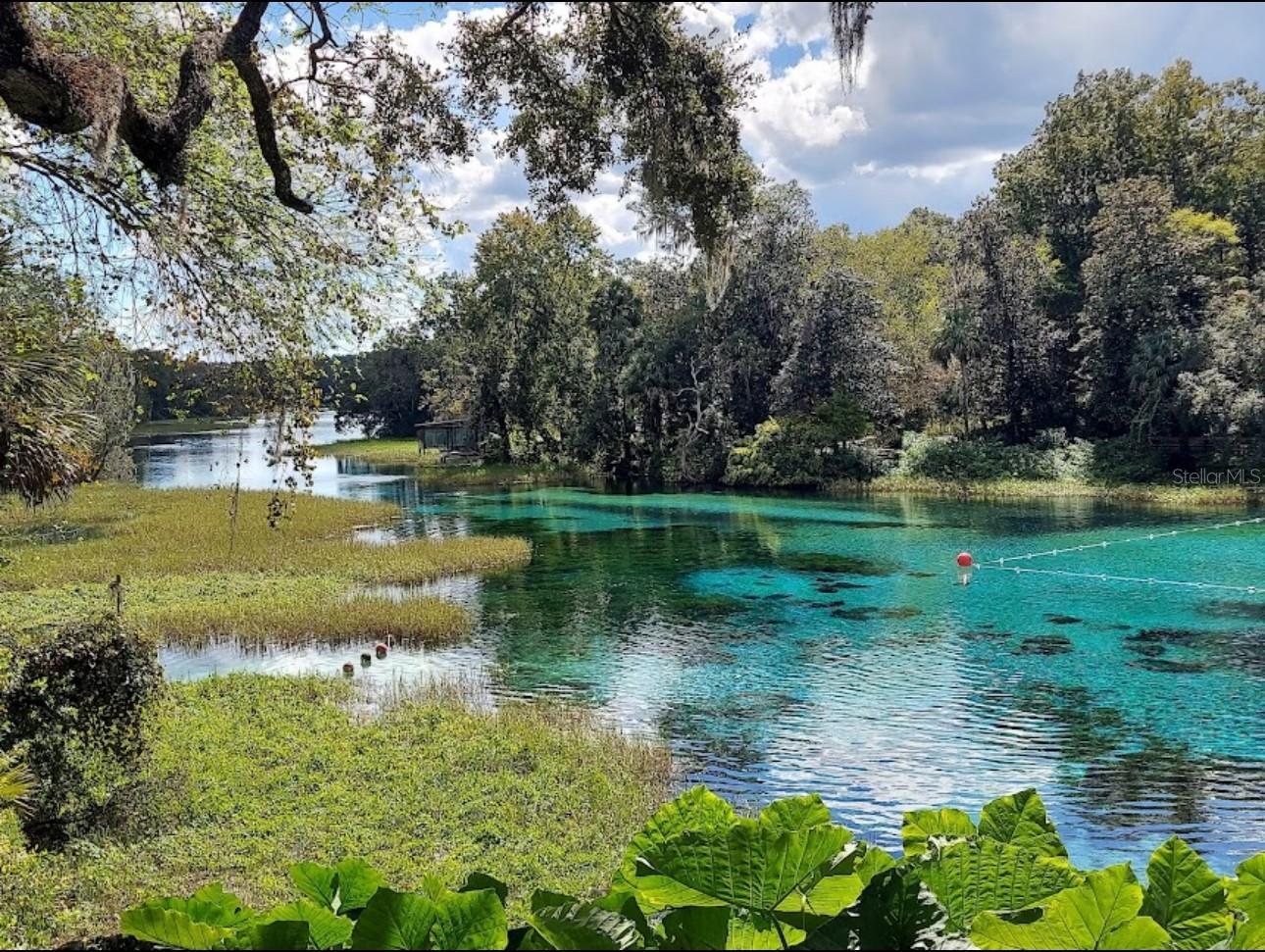 Image 56 of 56 For 8583 Tibet Terrace