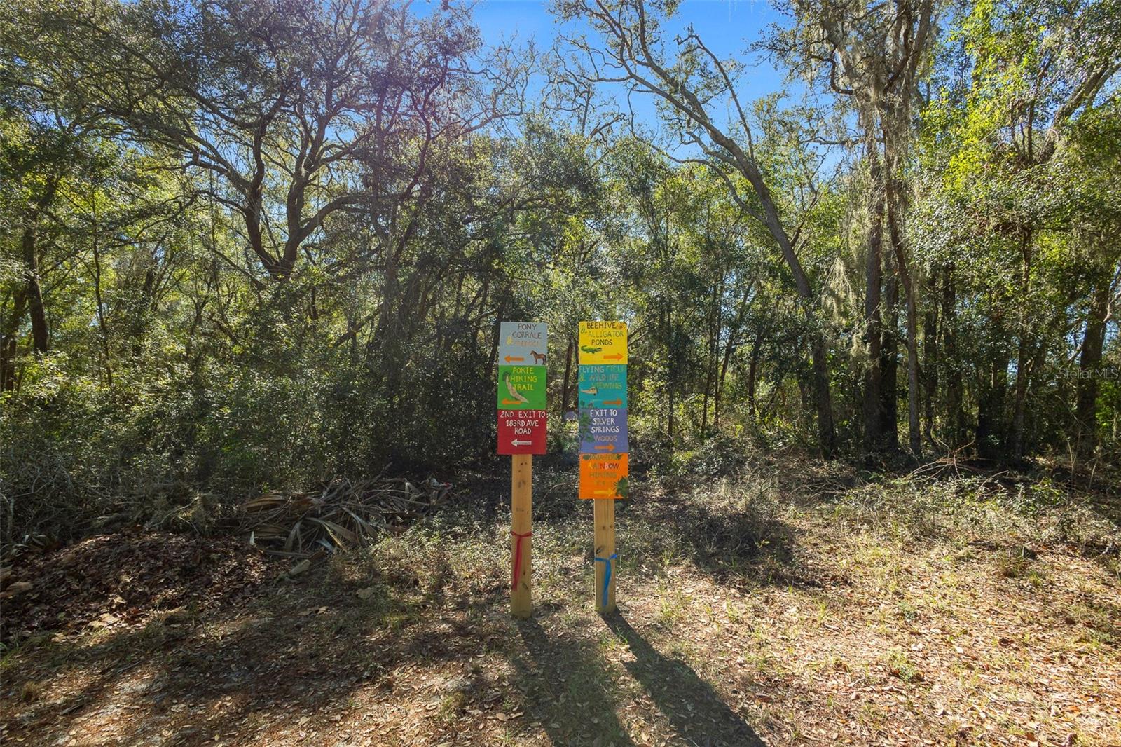 Image 5 of 7 For 18434 24th Street