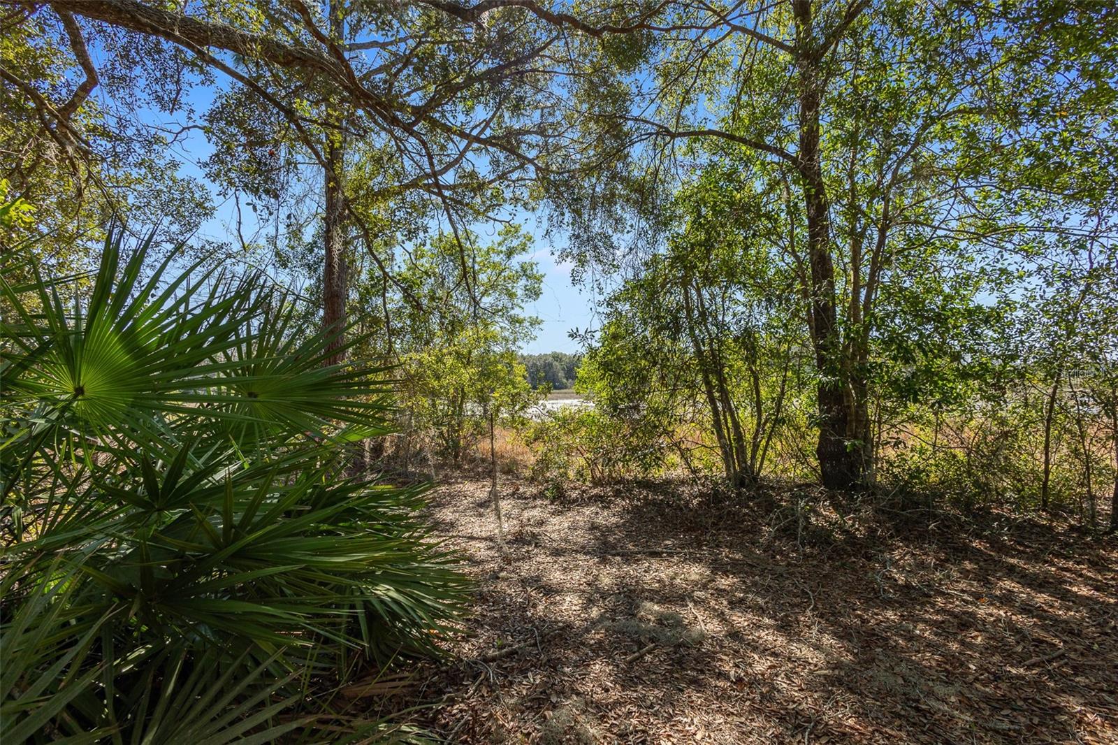 Image 6 of 7 For 18434 24th Street