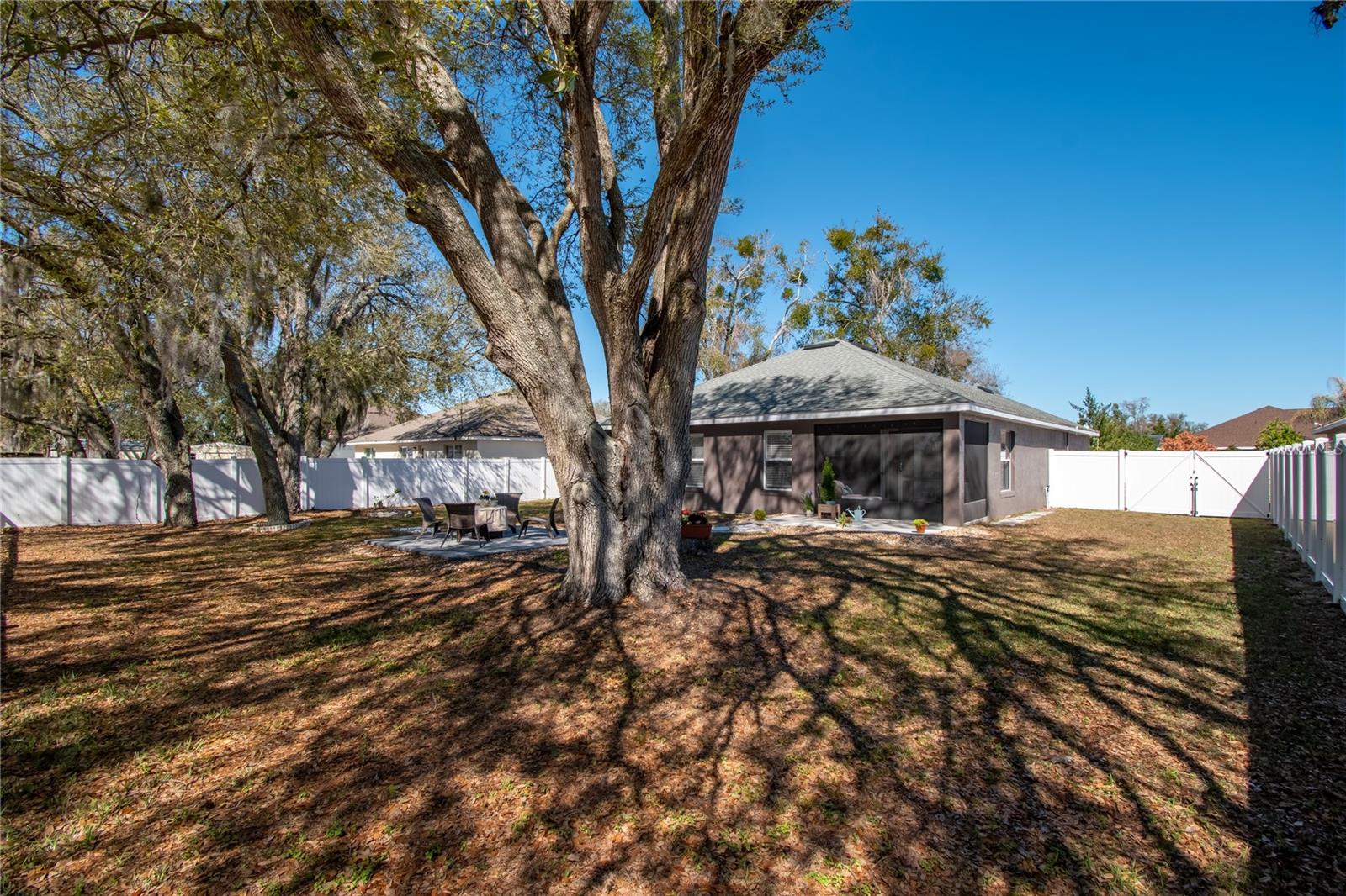 Image 27 of 42 For 2309 Angel Fish Loop