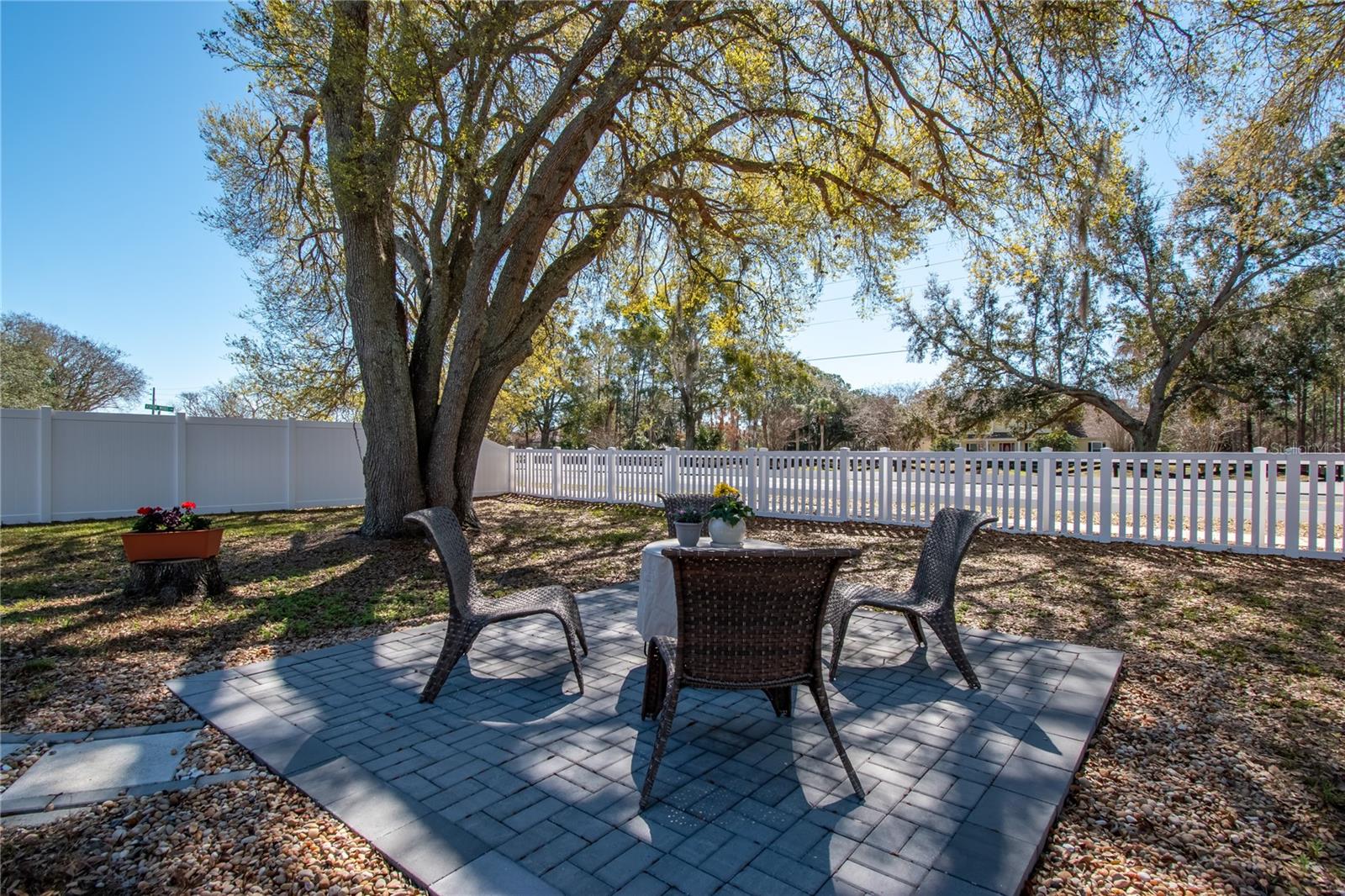 Image 35 of 42 For 2309 Angel Fish Loop