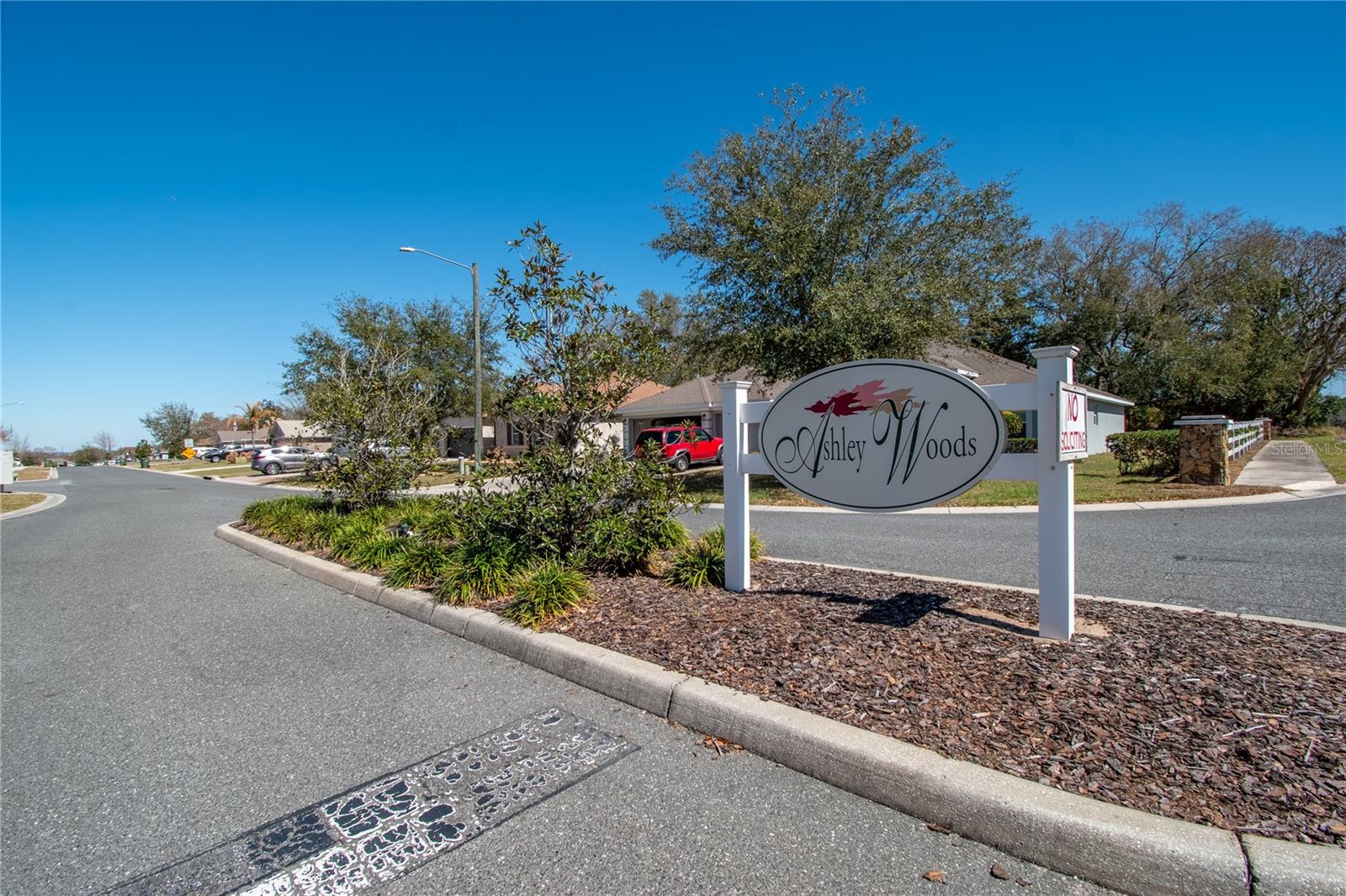 Image 41 of 42 For 2309 Angel Fish Loop