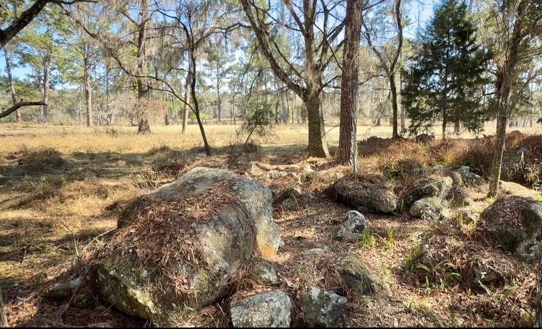 Image 12 of 17 For 10550 115th Avenue