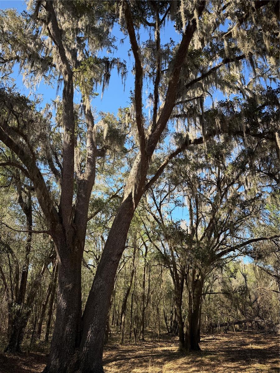 Image 3 of 17 For 10550 115th Avenue