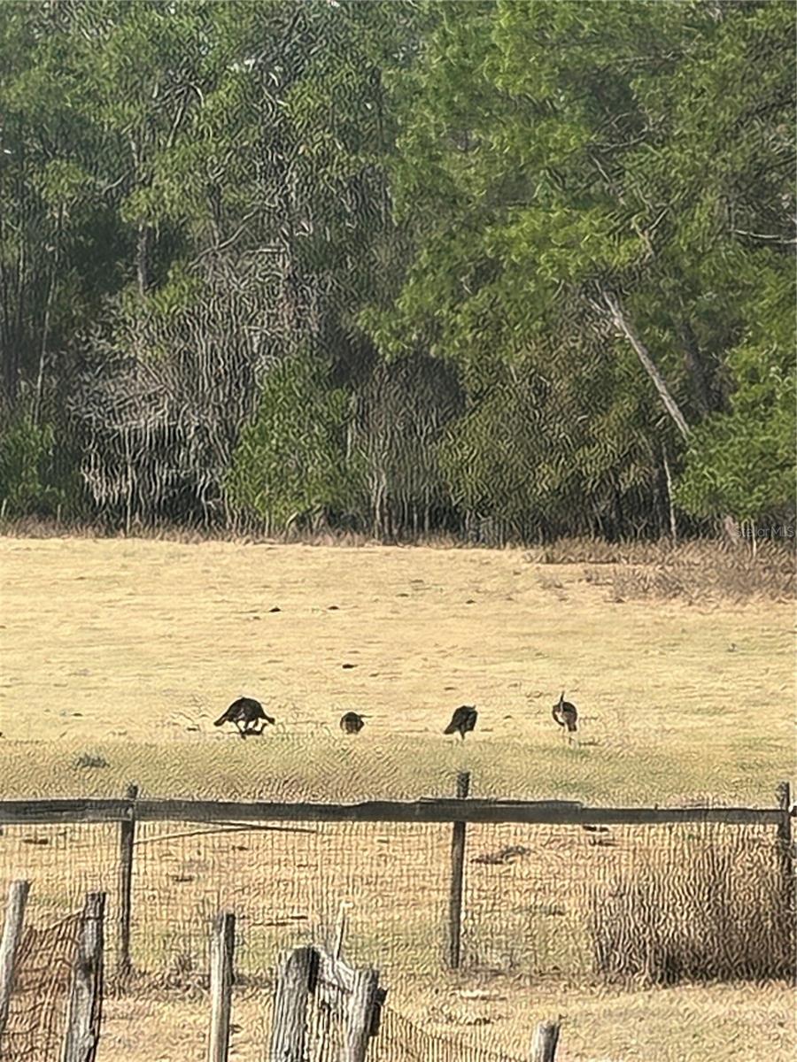 Image 6 of 17 For 10550 115th Avenue