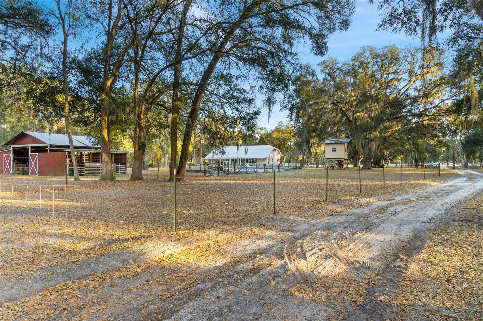 Image 54 of 98 For 11831 Highway 484