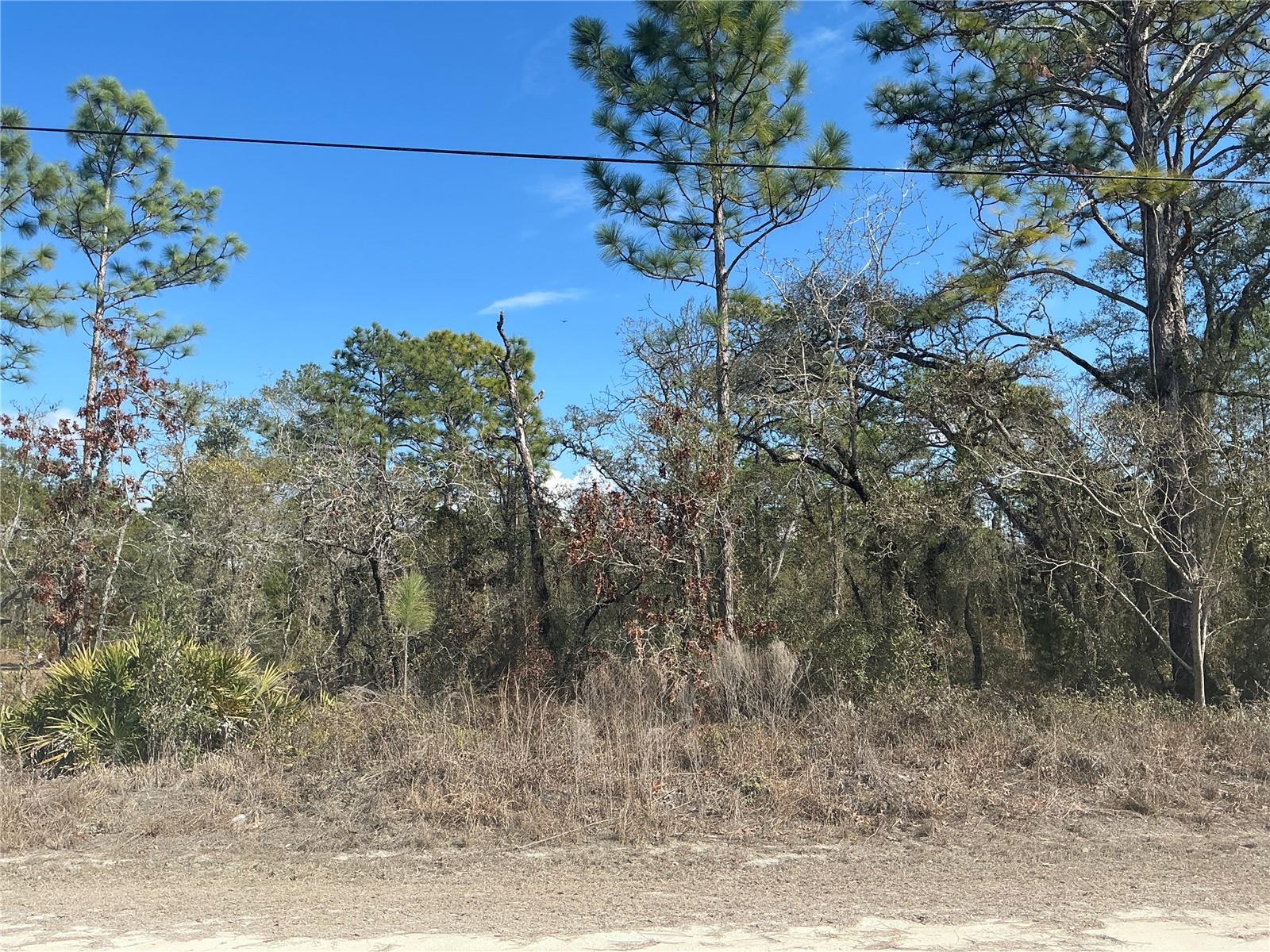 Details for 11072 Hyde Street, WEEKI WACHEE, FL 34614