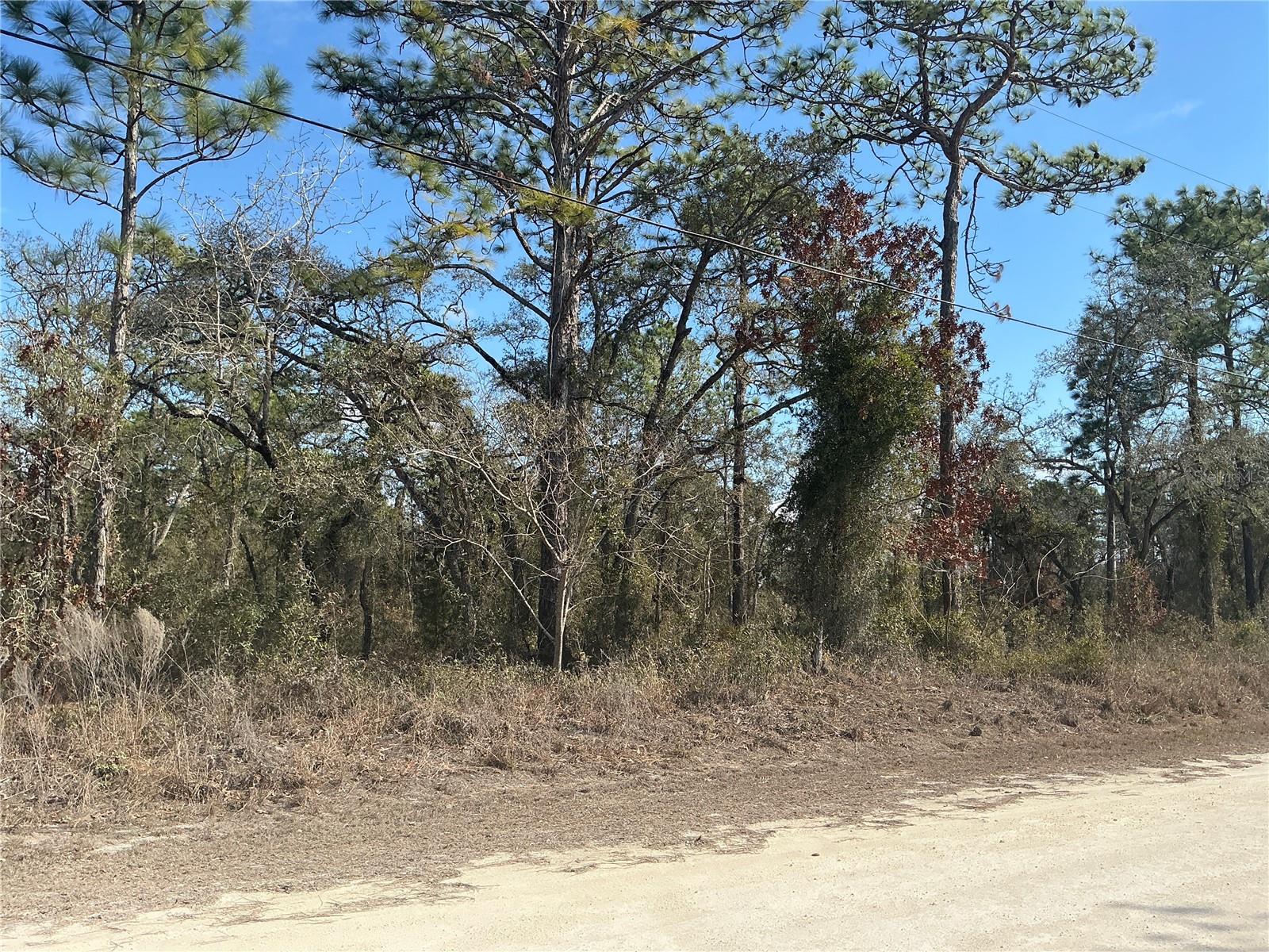 Image 3 of 7 For 11072 Hyde Street