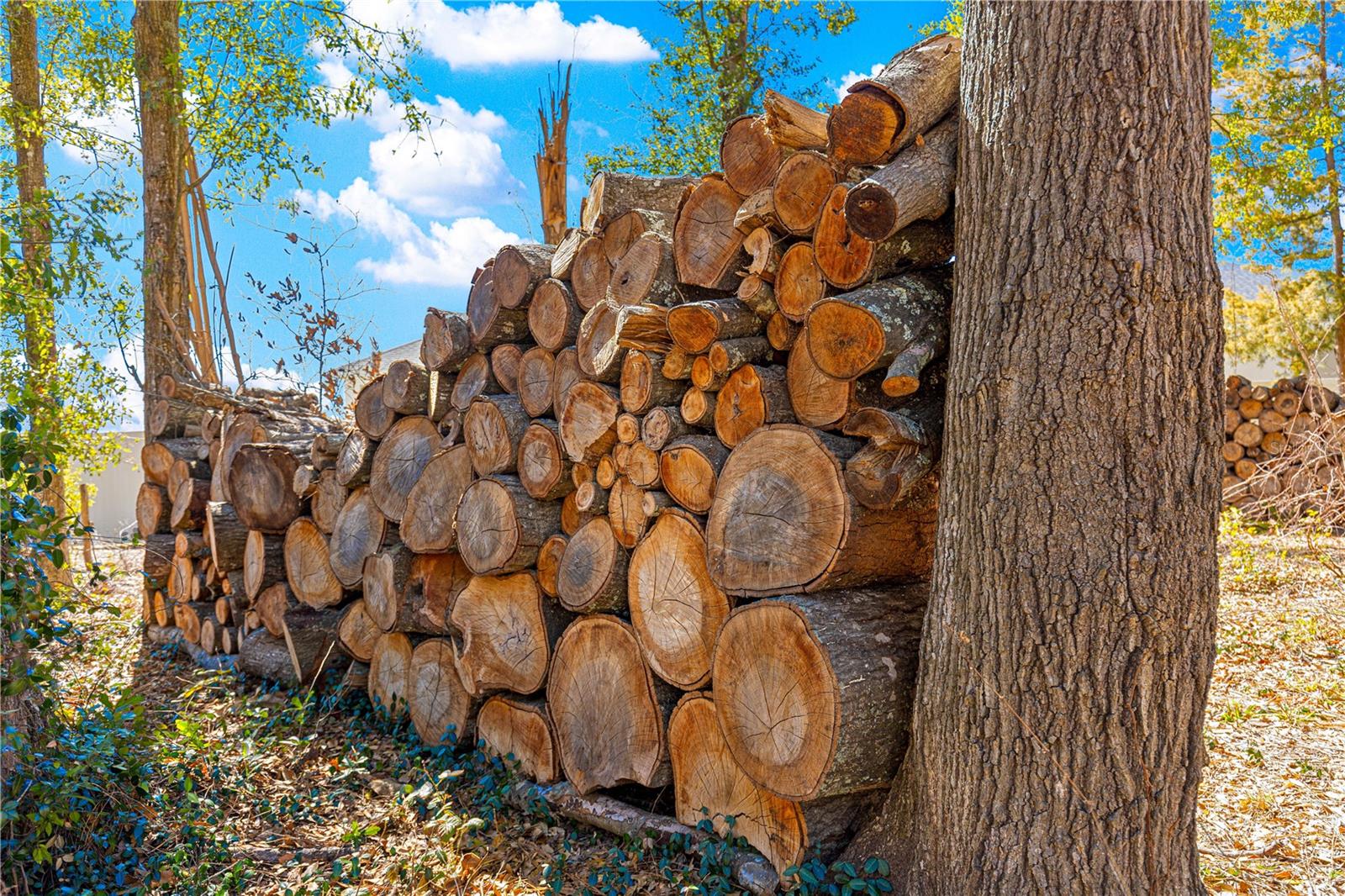 Image 36 of 44 For 10696 74th Terrace