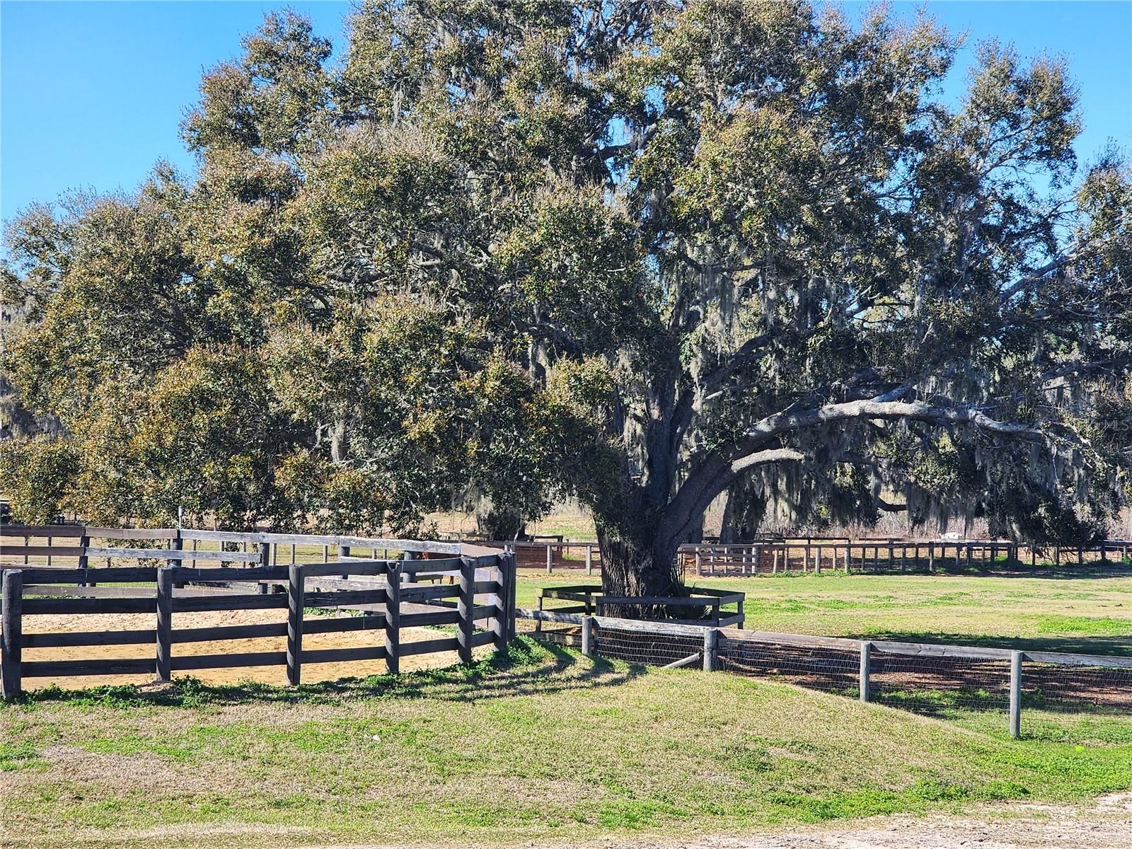 Image 55 of 58 For 6025 115th Avenue