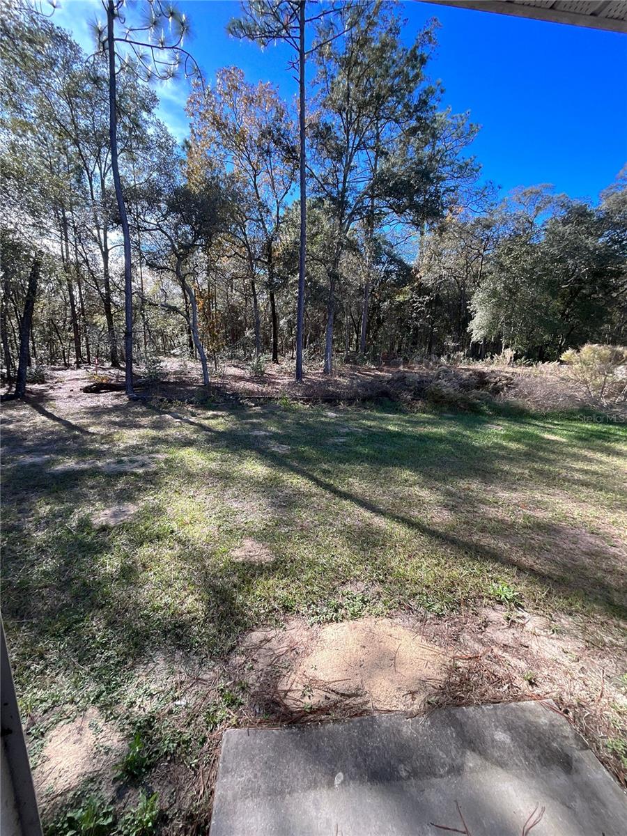 Image 15 of 15 For 9094 Peachtree Way