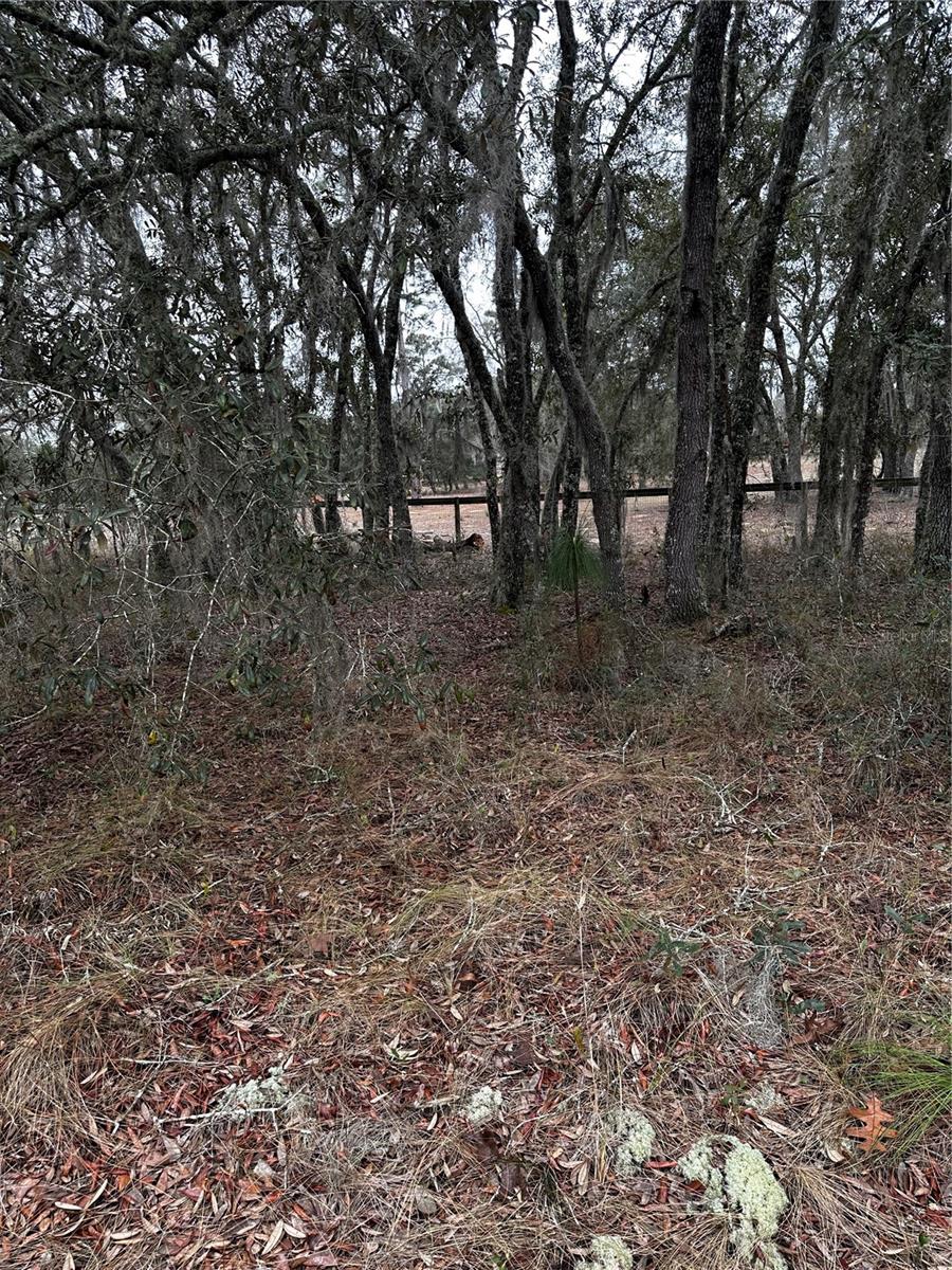 Image 10 of 10 For 0000 123 Rd Terrace