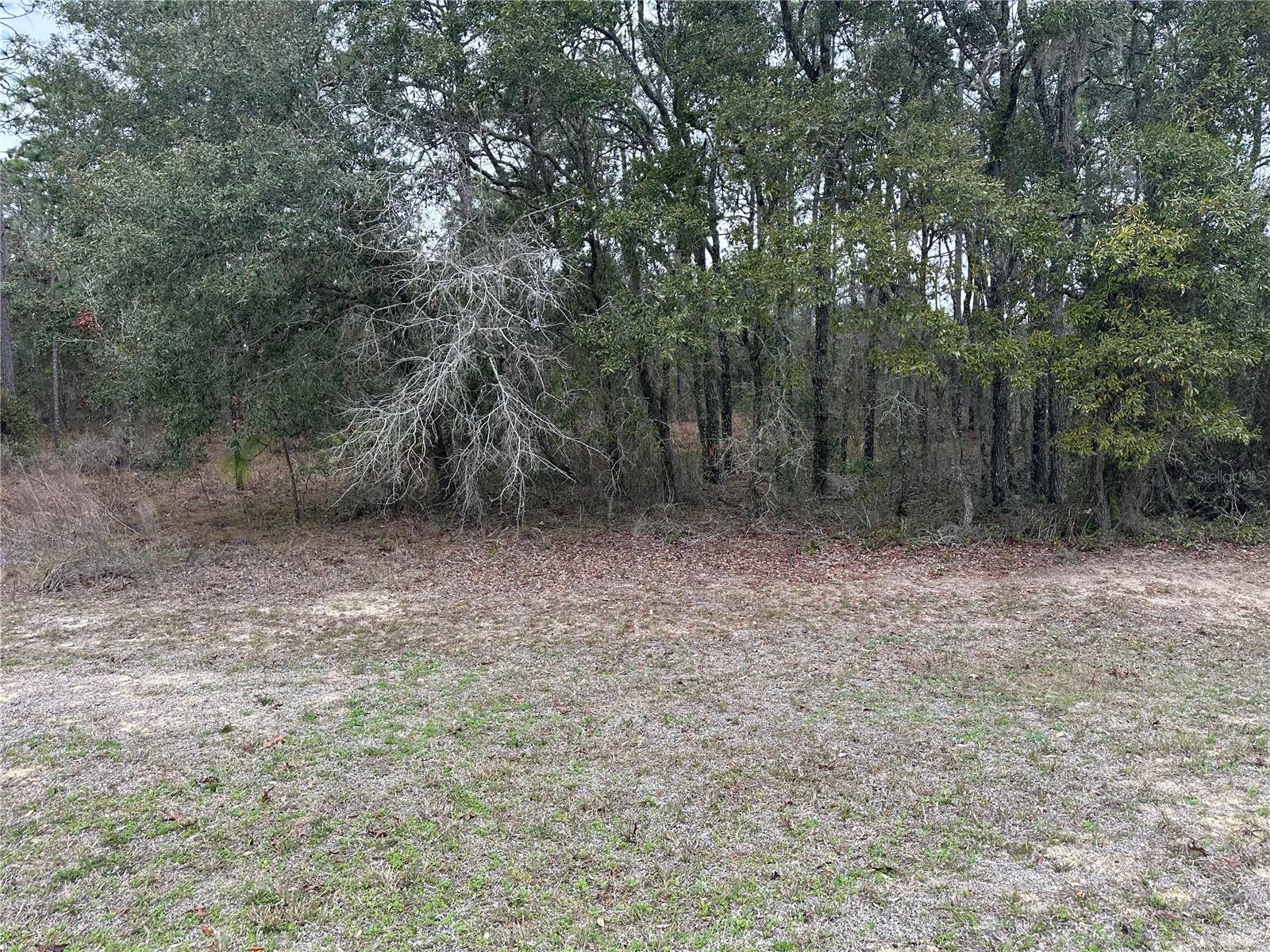 Image 5 of 10 For 0000 123 Rd Terrace