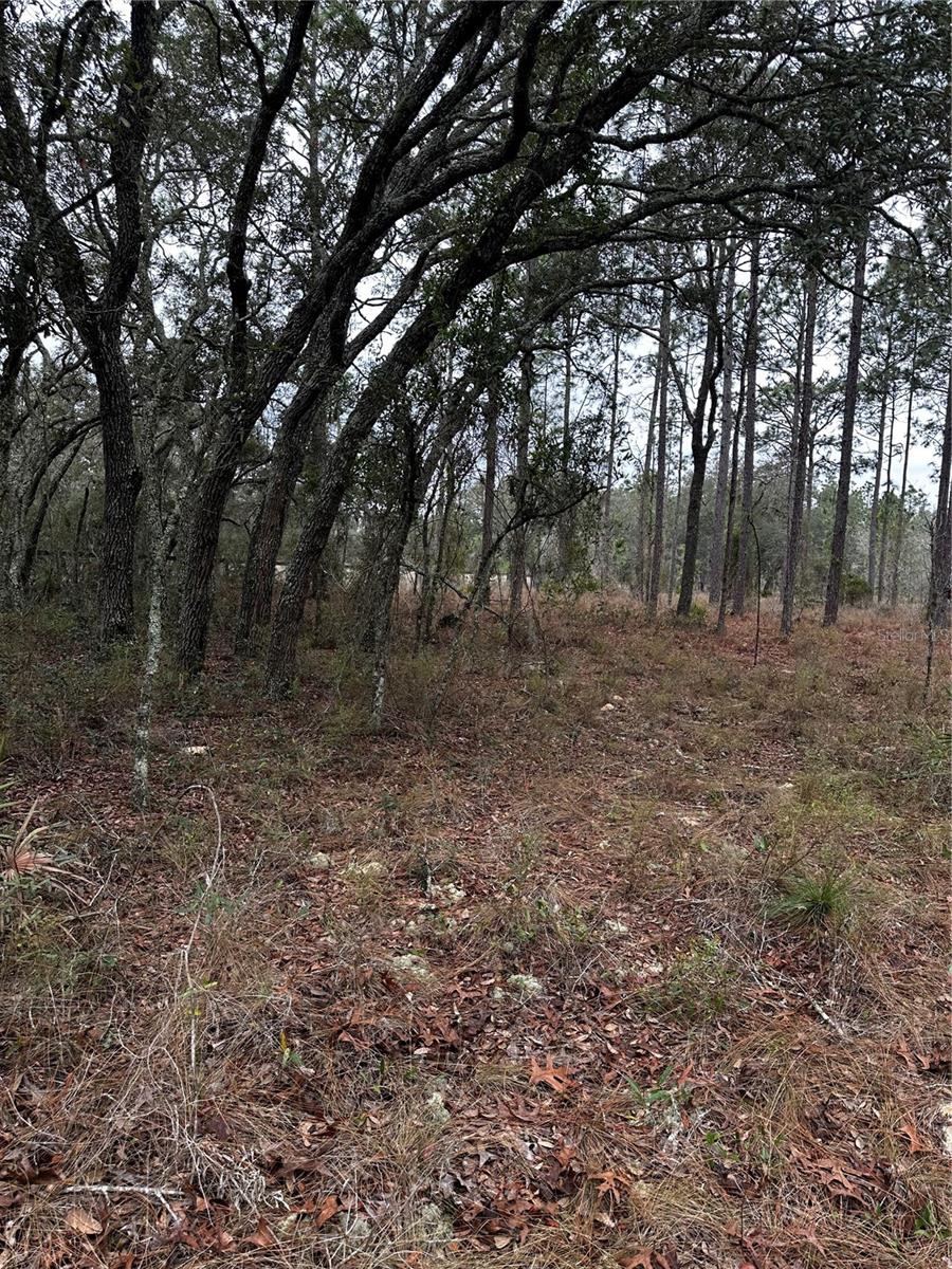 Image 7 of 10 For 0000 123 Rd Terrace