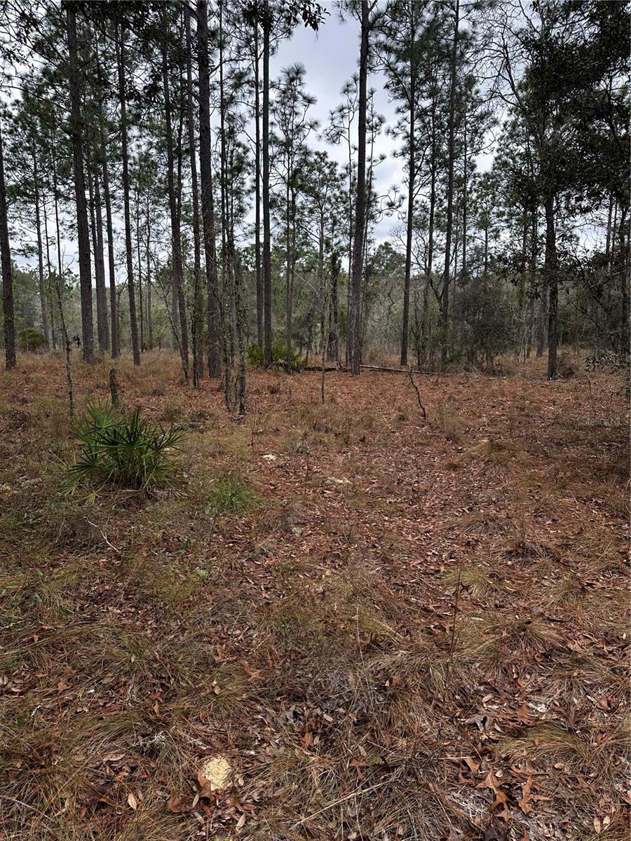 Image 8 of 10 For 0000 123 Rd Terrace