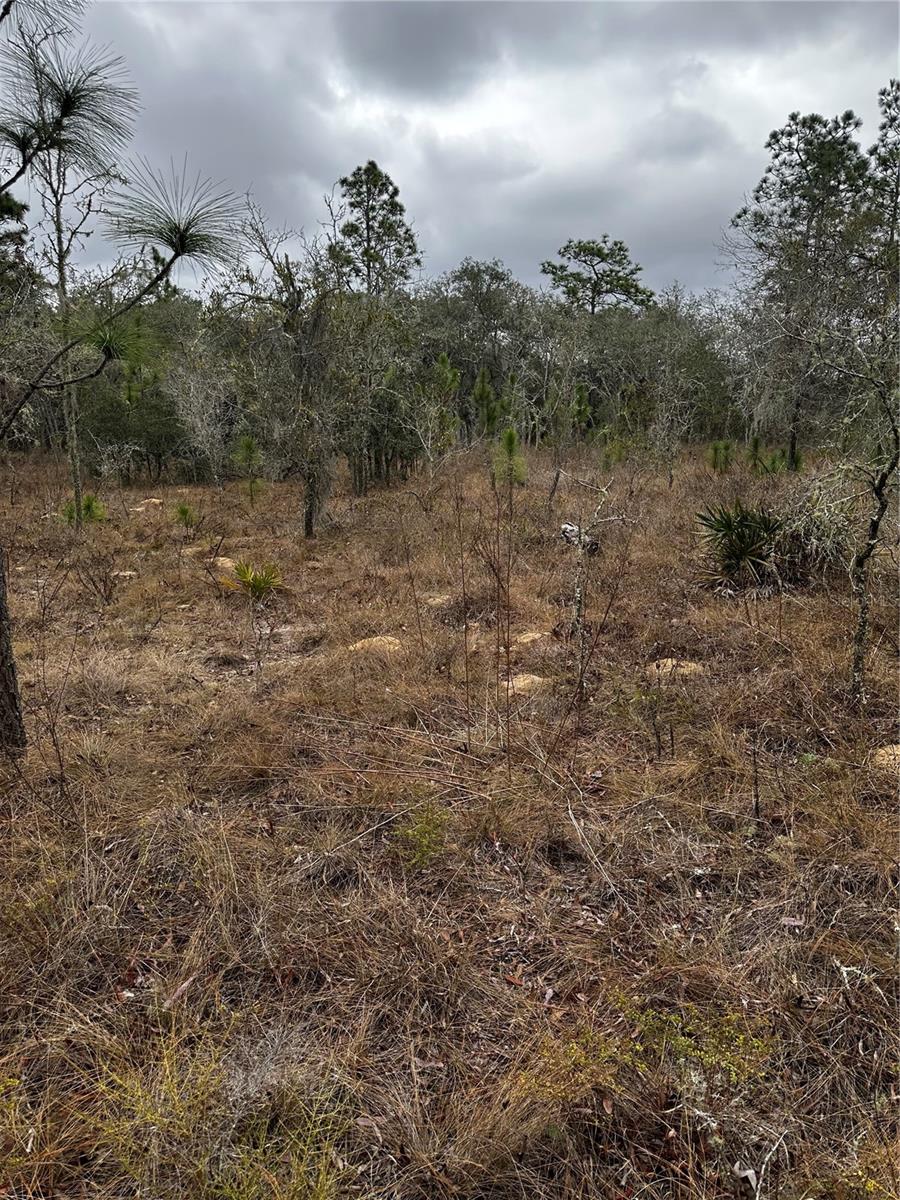 Image 9 of 10 For 0000 123 Rd Terrace