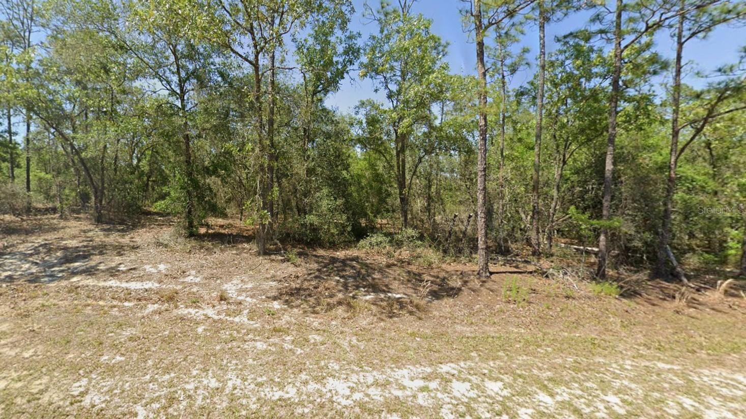 Details for 00 Rainbow Lakes Boulevard, DUNNELLON, FL 34431