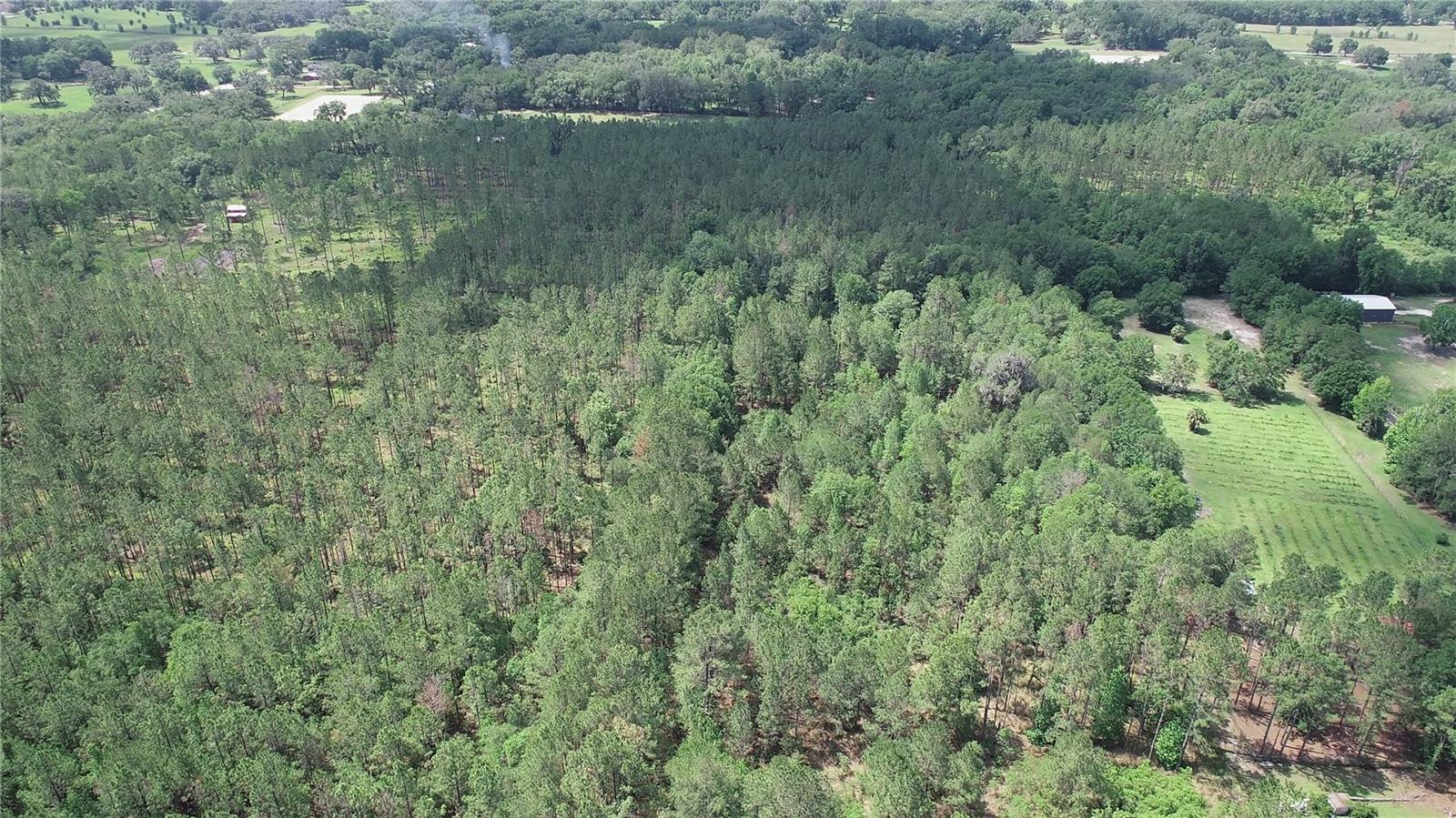 Image 7 of 8 For Address Not Provided