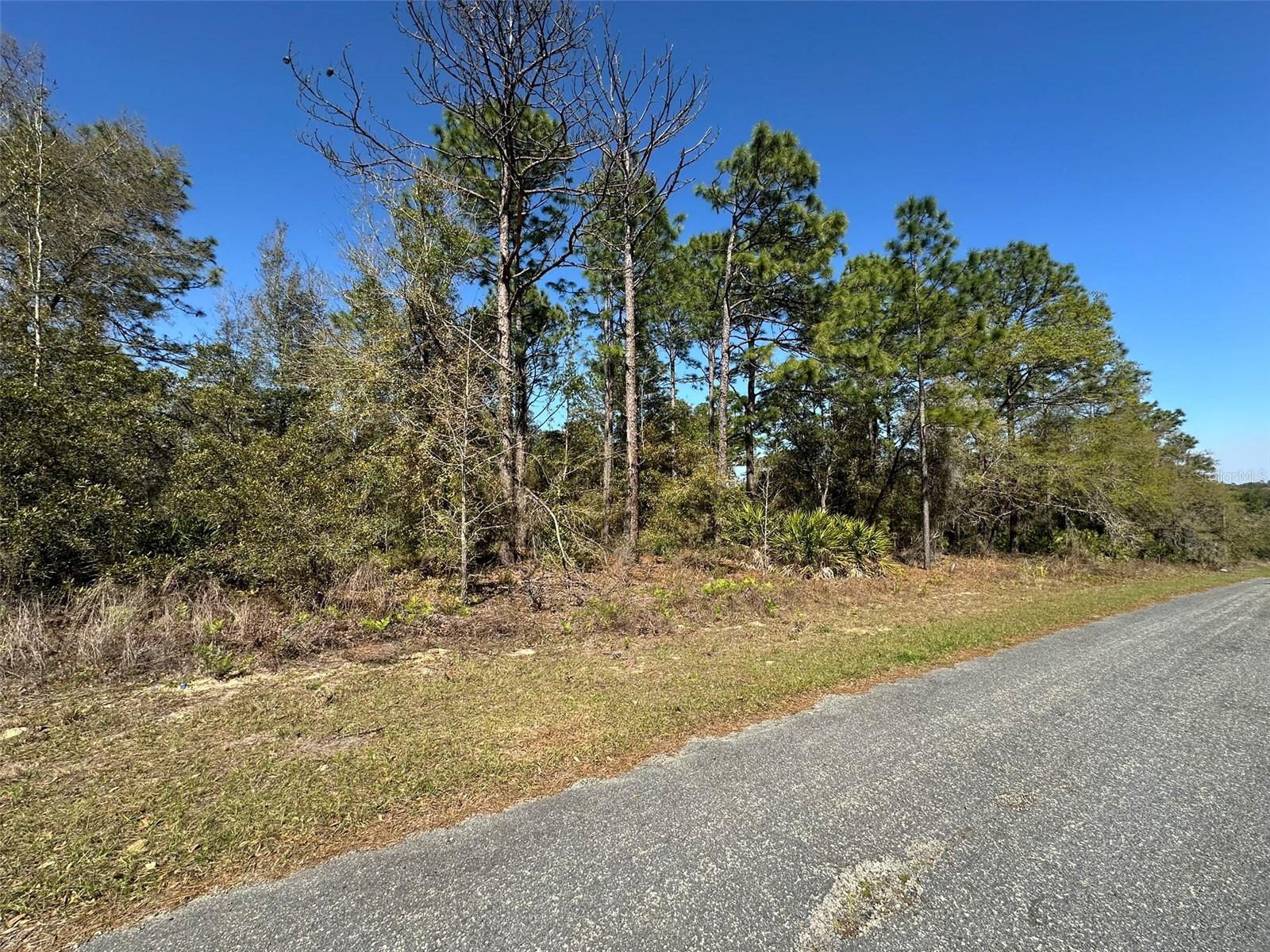 Image 3 of 6 For 833 Champlain Lane