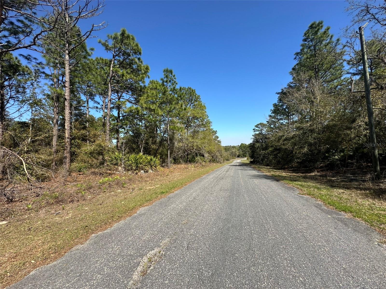 Image 4 of 6 For 833 Champlain Lane