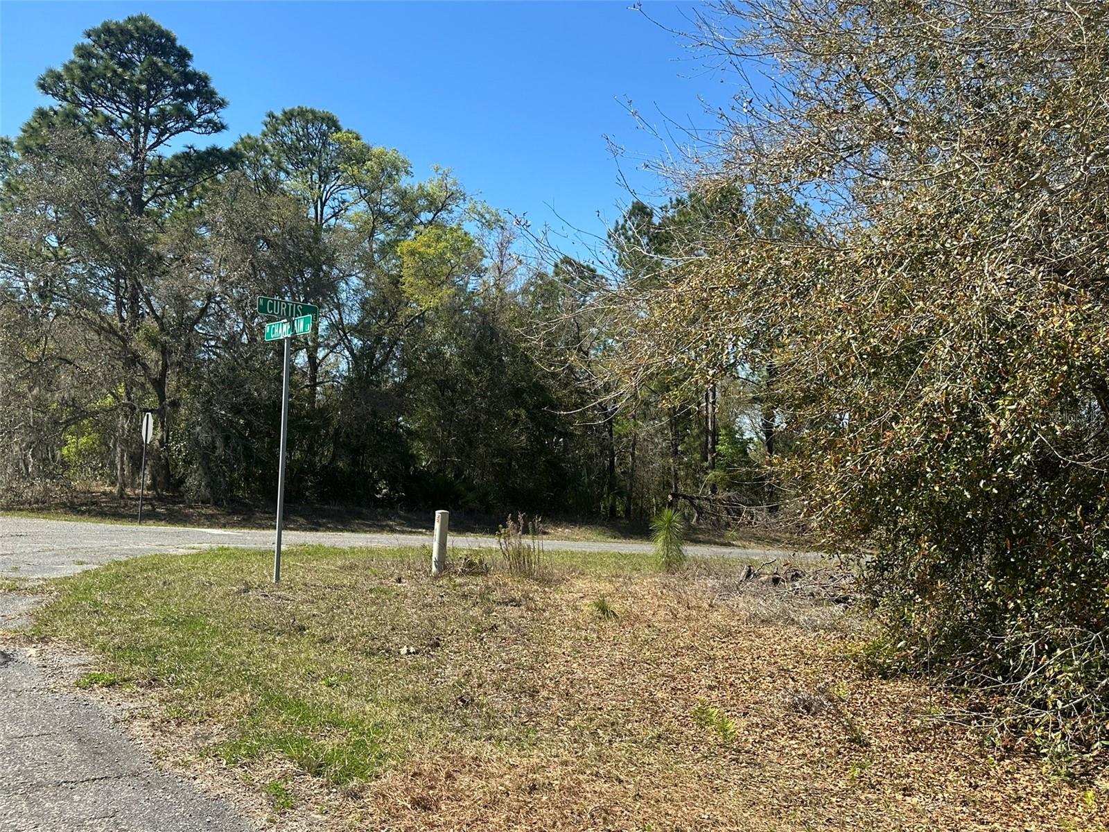 Image 5 of 6 For 833 Champlain Lane