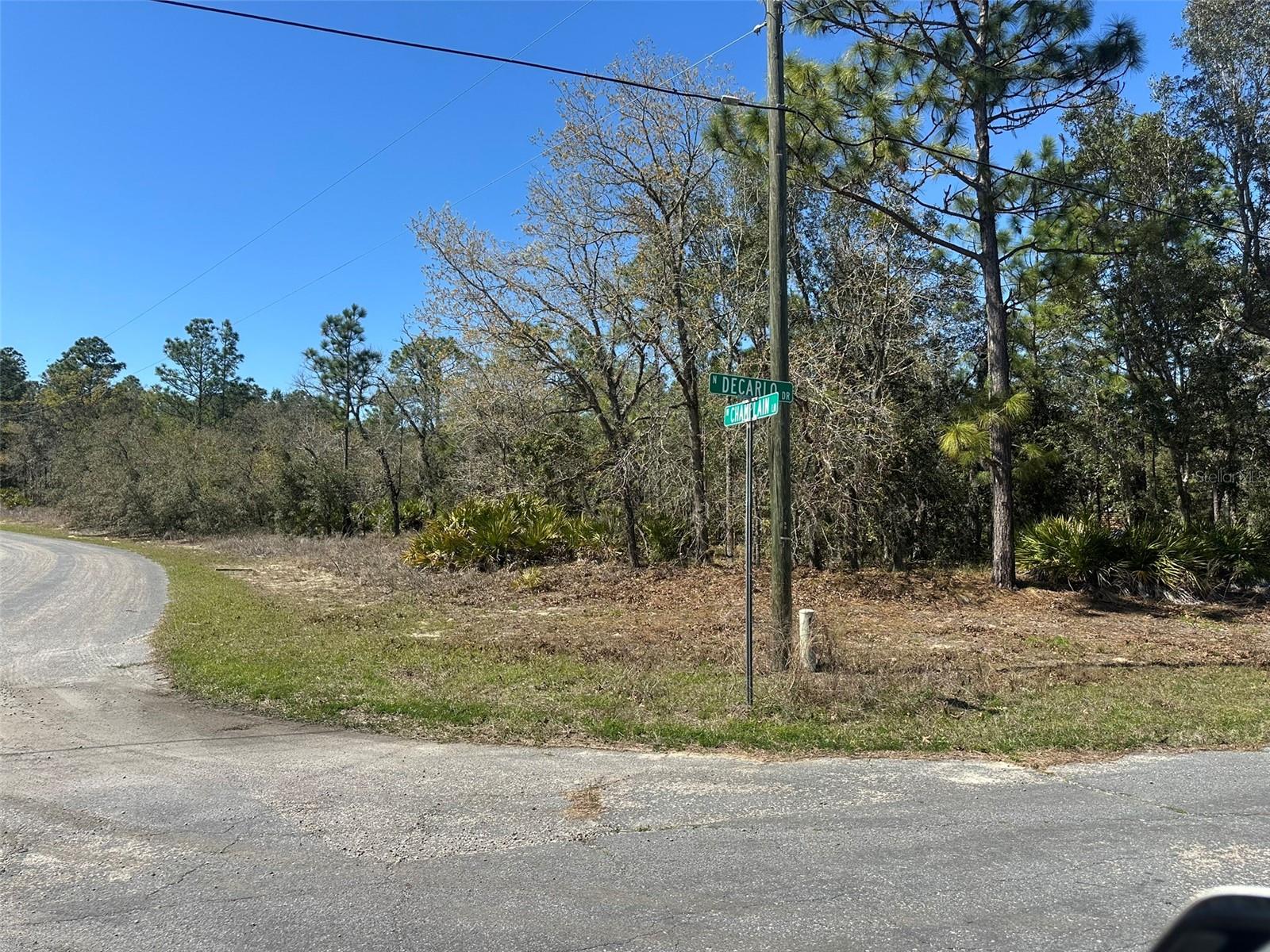 Image 6 of 6 For 833 Champlain Lane