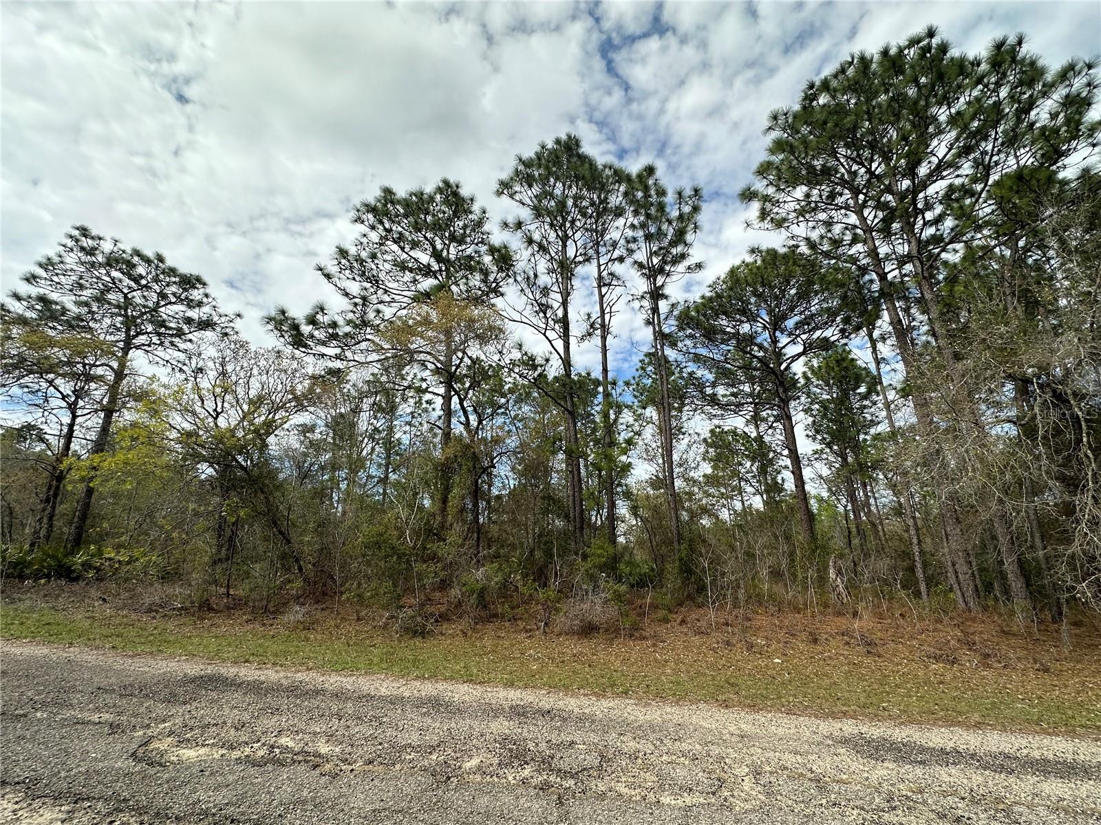 Image 2 of 6 For 1639 Pendleton Street