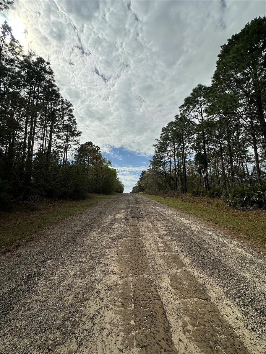 Image 3 of 6 For 1639 Pendleton Street