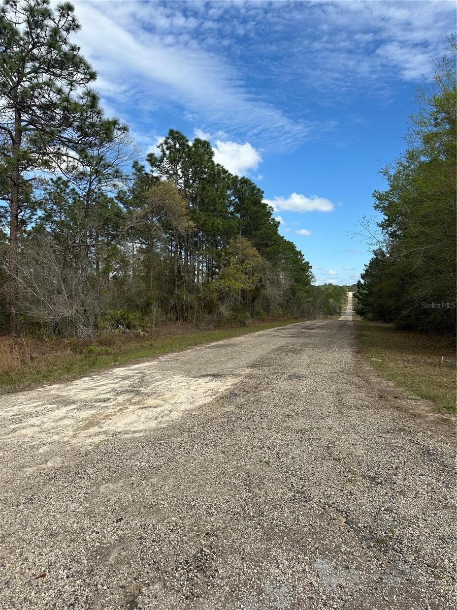 Image 4 of 6 For 1639 Pendleton Street