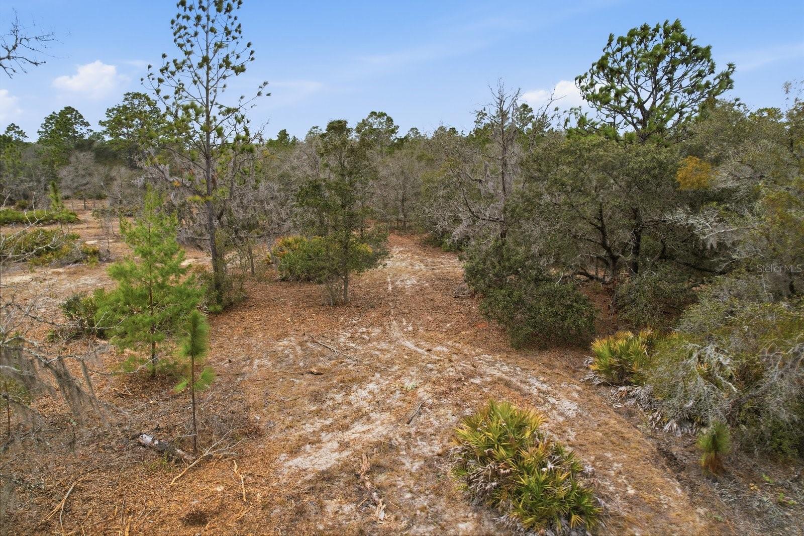 Image 5 of 9 For 6199 Peking Court