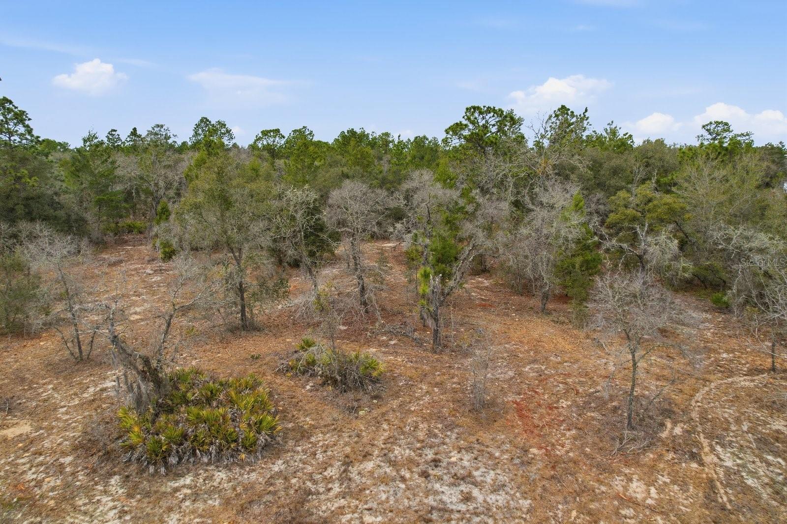 Image 7 of 9 For 6199 Peking Court