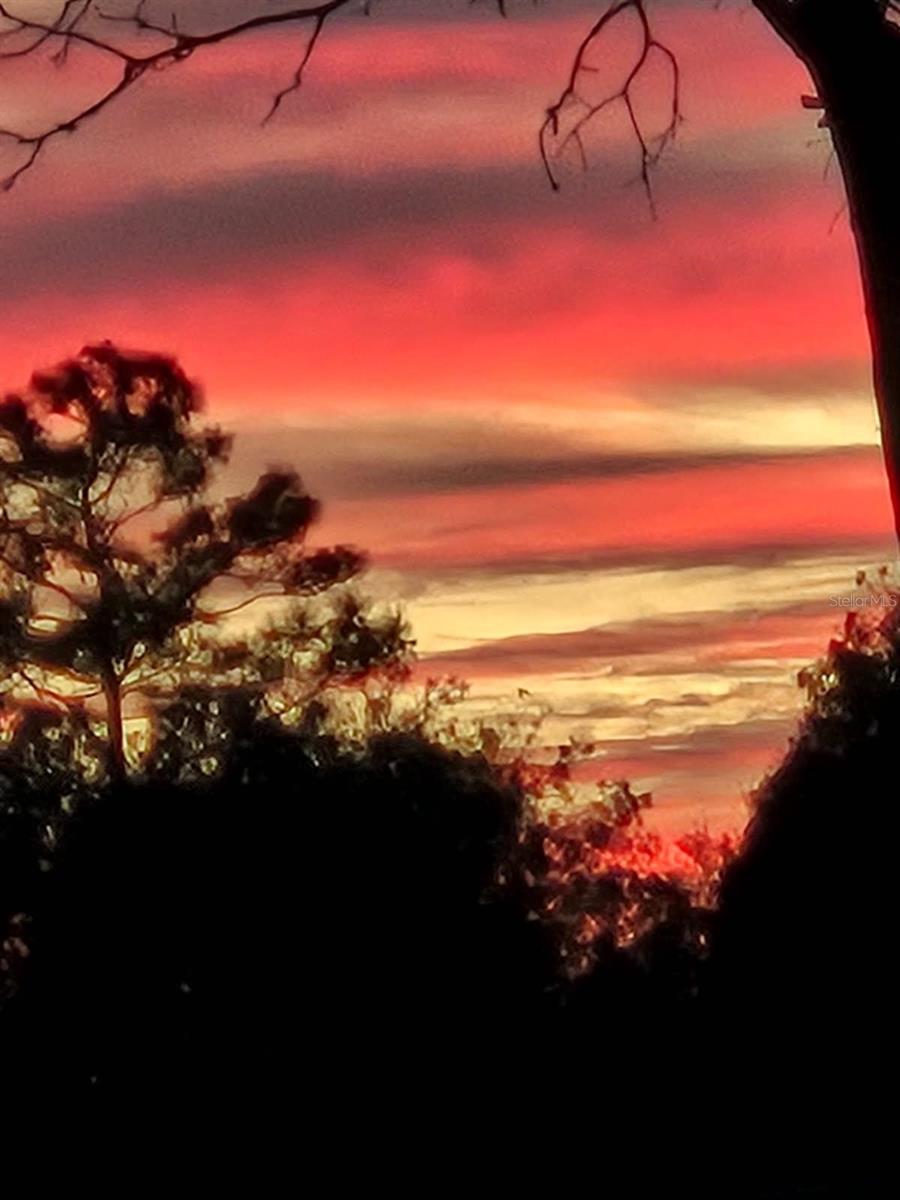 Listing photo id 40 for 1336 154th Avenue