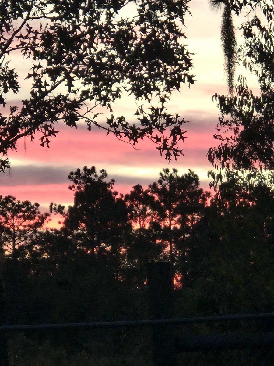 Listing photo id 41 for 1336 154th Avenue