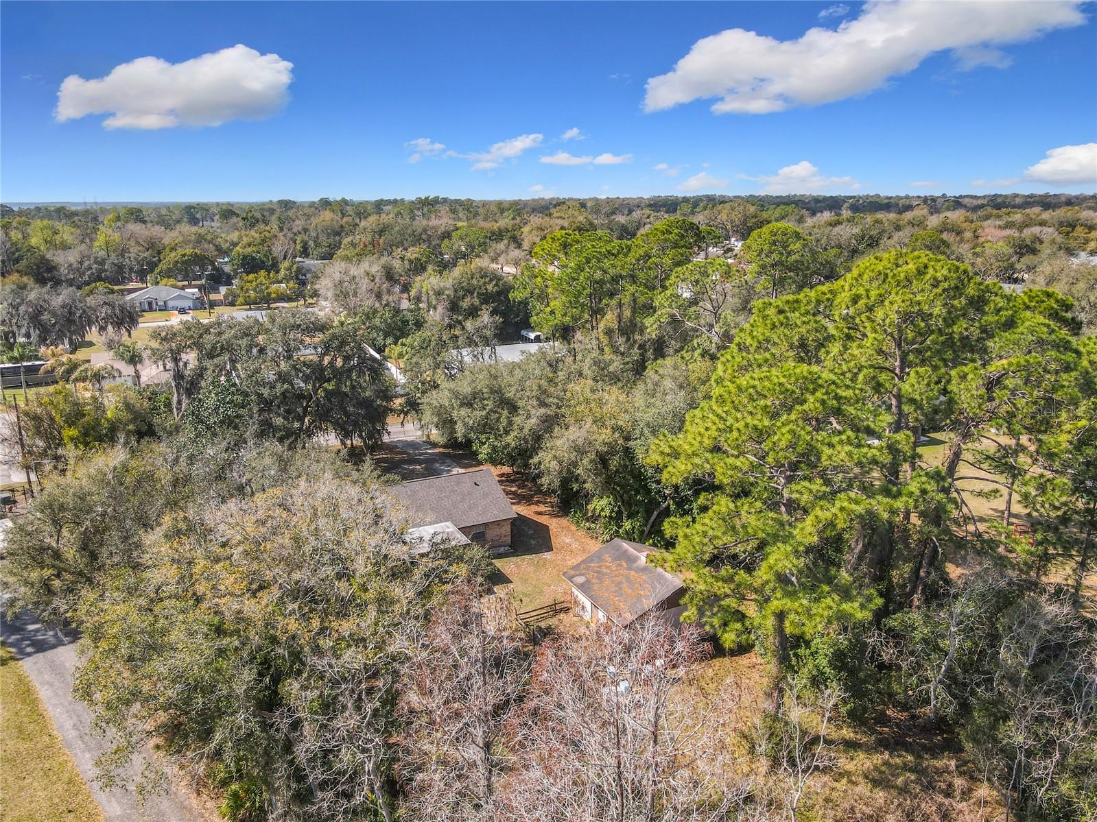 Image 52 of 62 For 276 Deleon Road