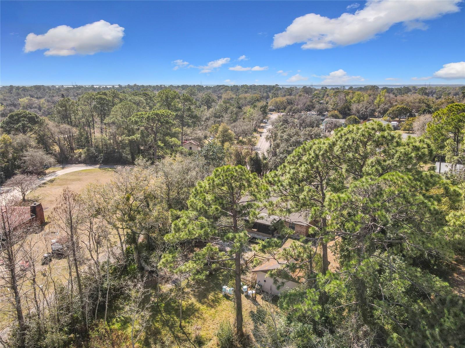 Image 54 of 62 For 276 Deleon Road