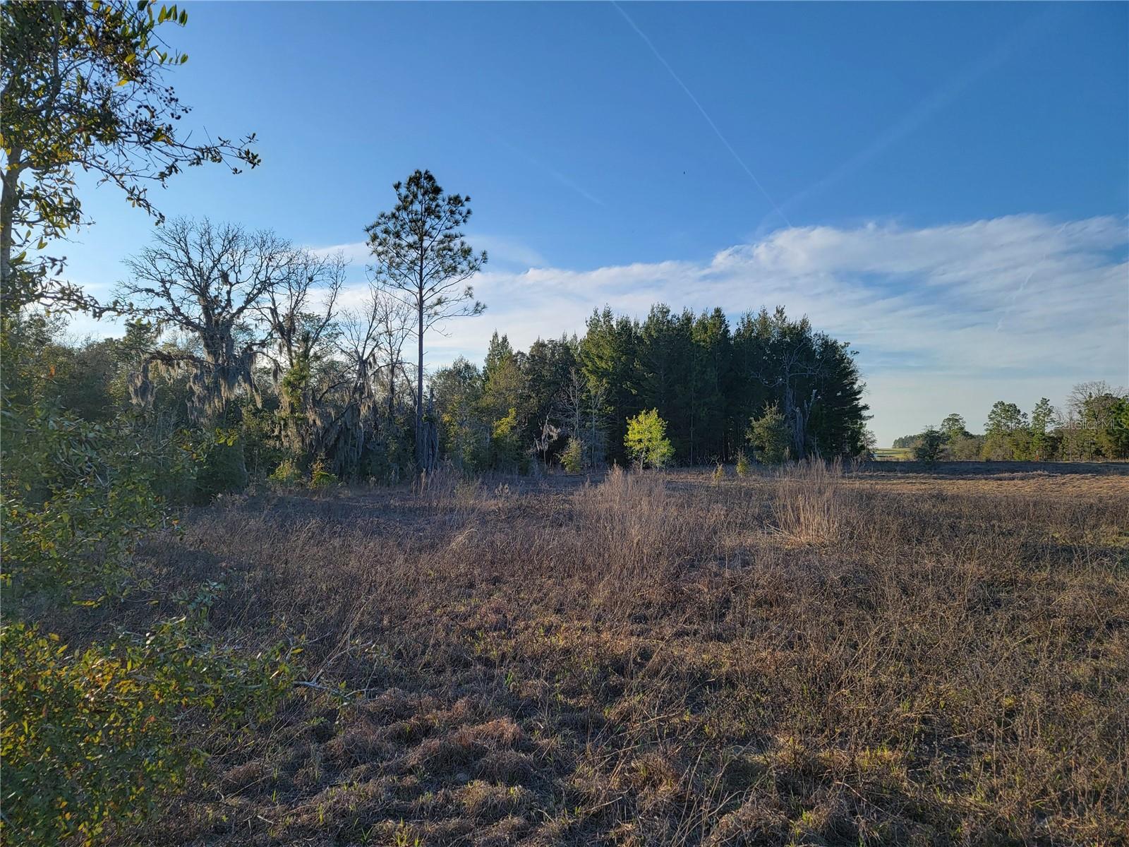 Image 14 of 16 For 0 20th Street