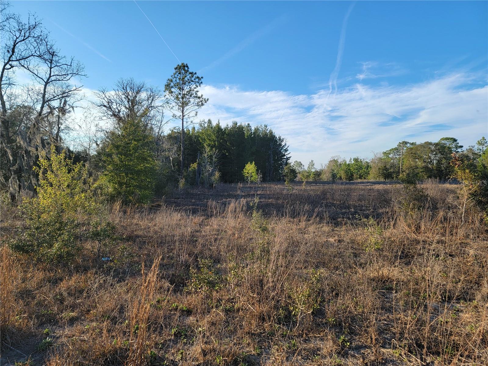 Image 7 of 16 For 0 20th Street